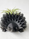 Hedgehog Planter + Air Plant