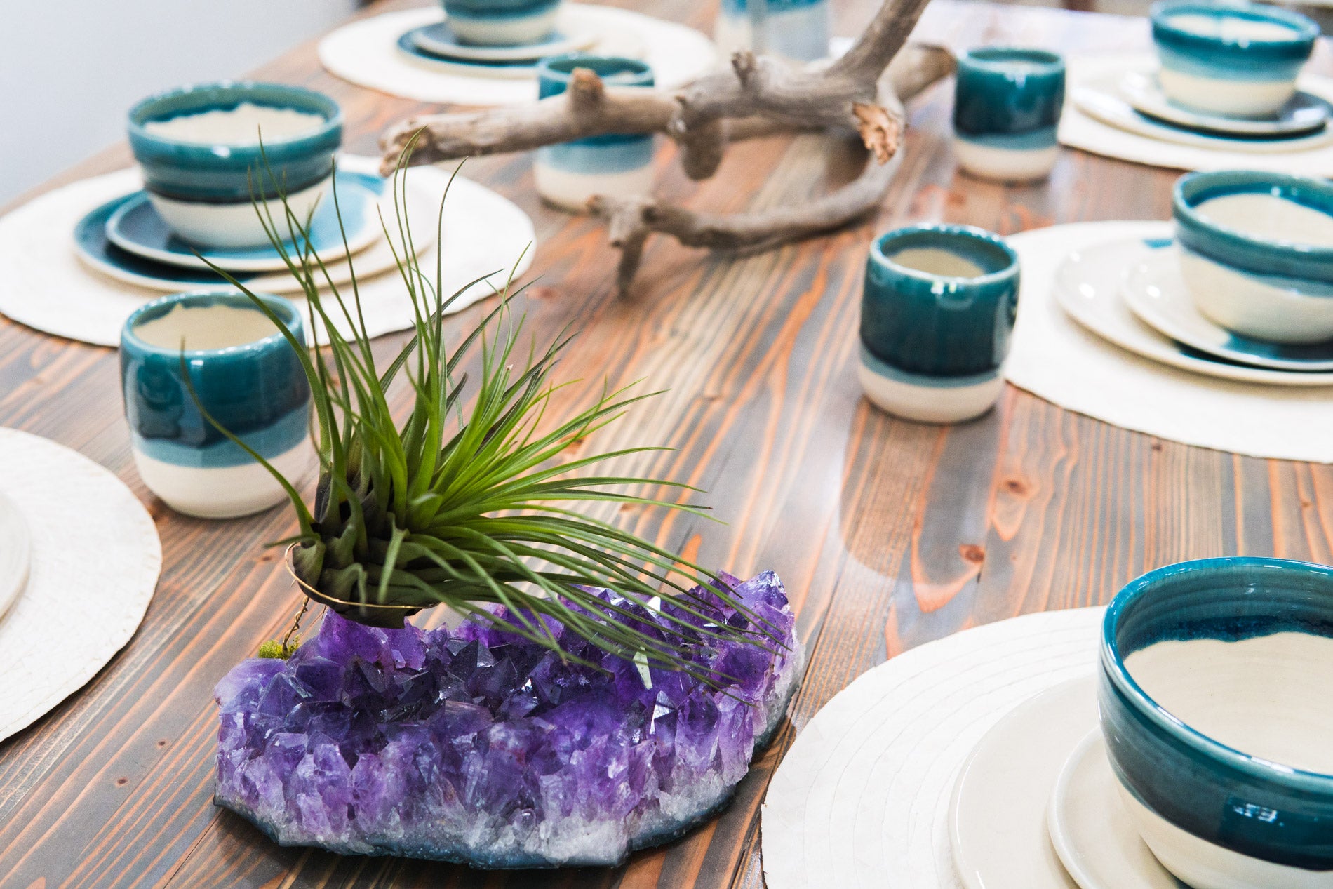decorating with lucky air plant amethyst