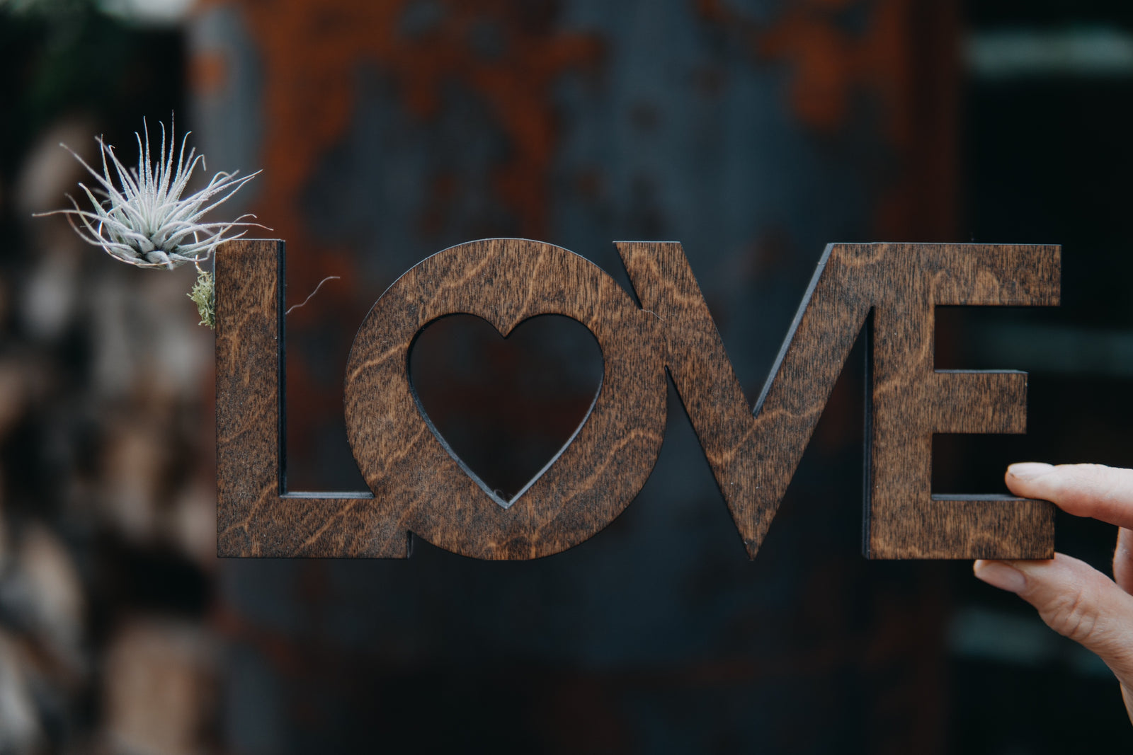 Connection,  friends.