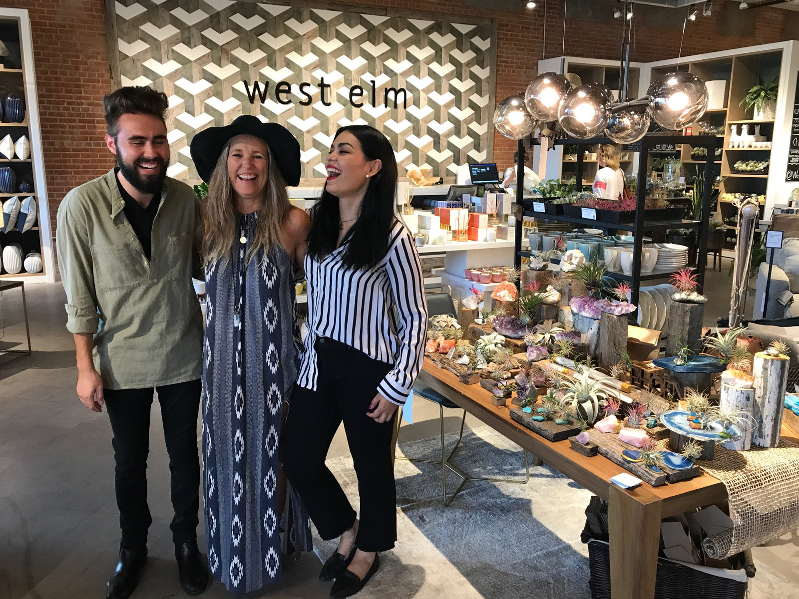 Lucky Air Plant + West Elm