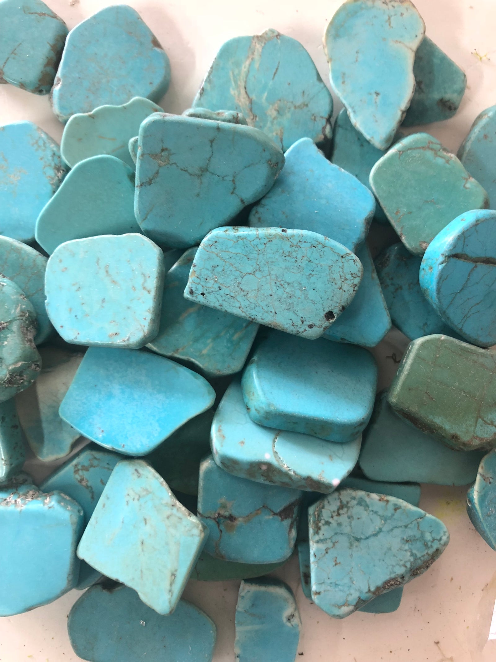 We love little Rock Hounds