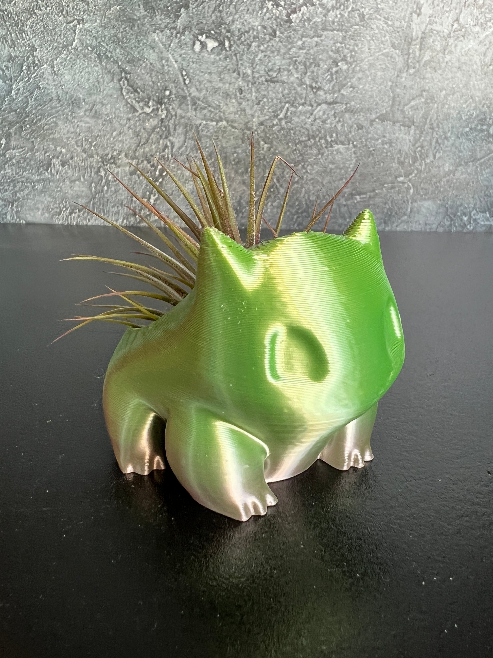 Bulbasaur Bloom Planter + air plant