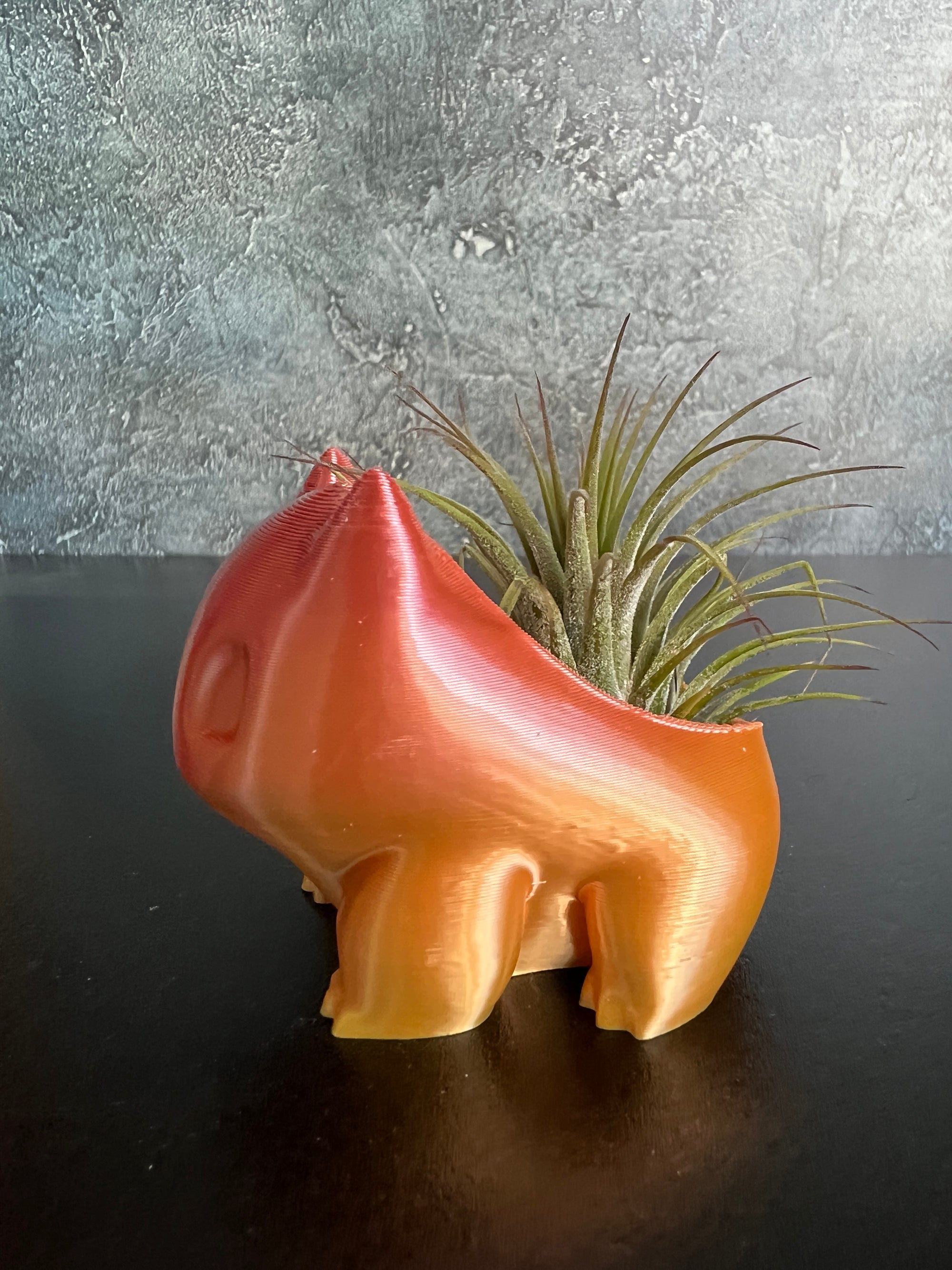 Bulbasaur Bloom Planter + air plant