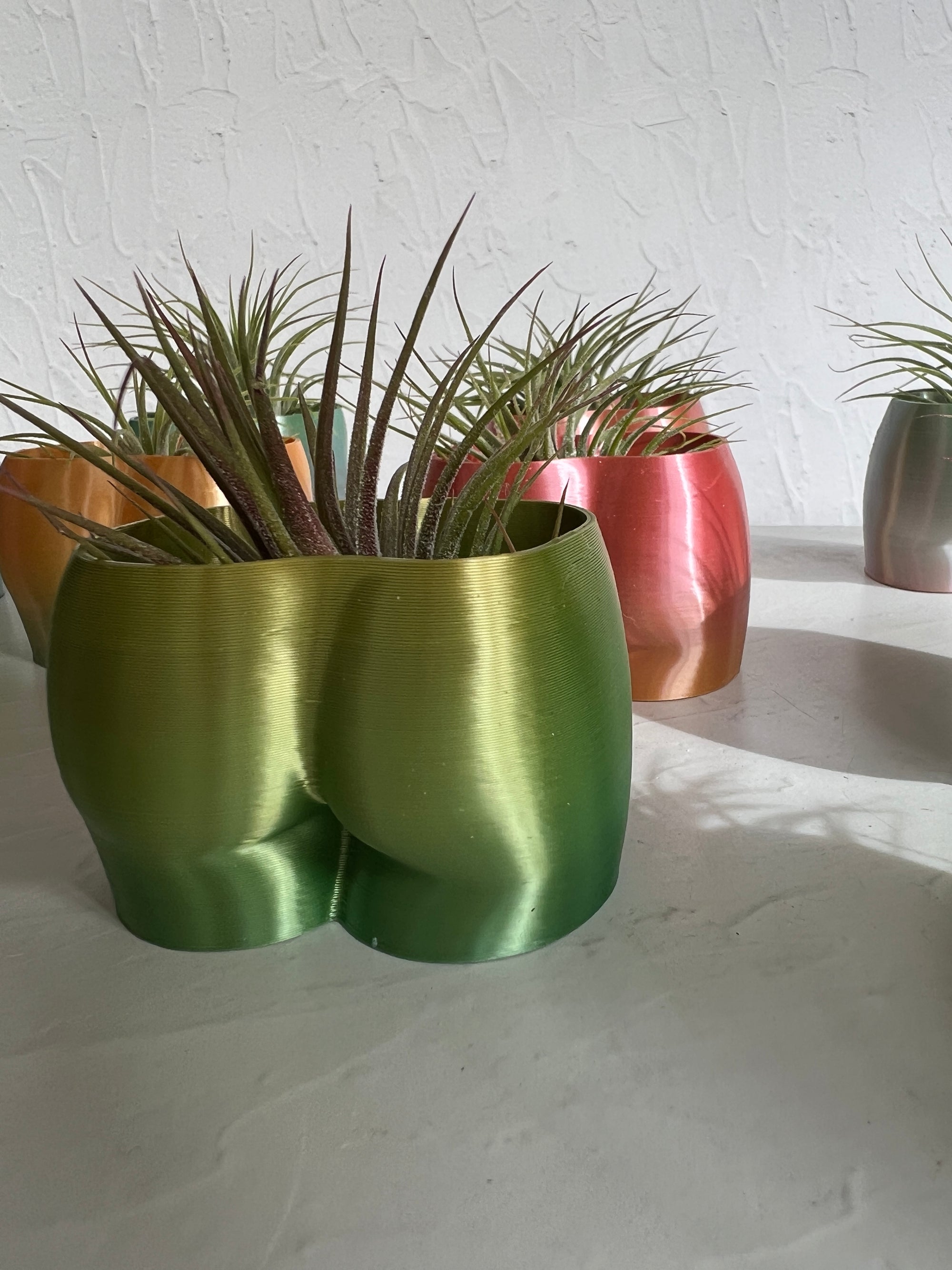 Cheeky Booty Planter + Air Plant