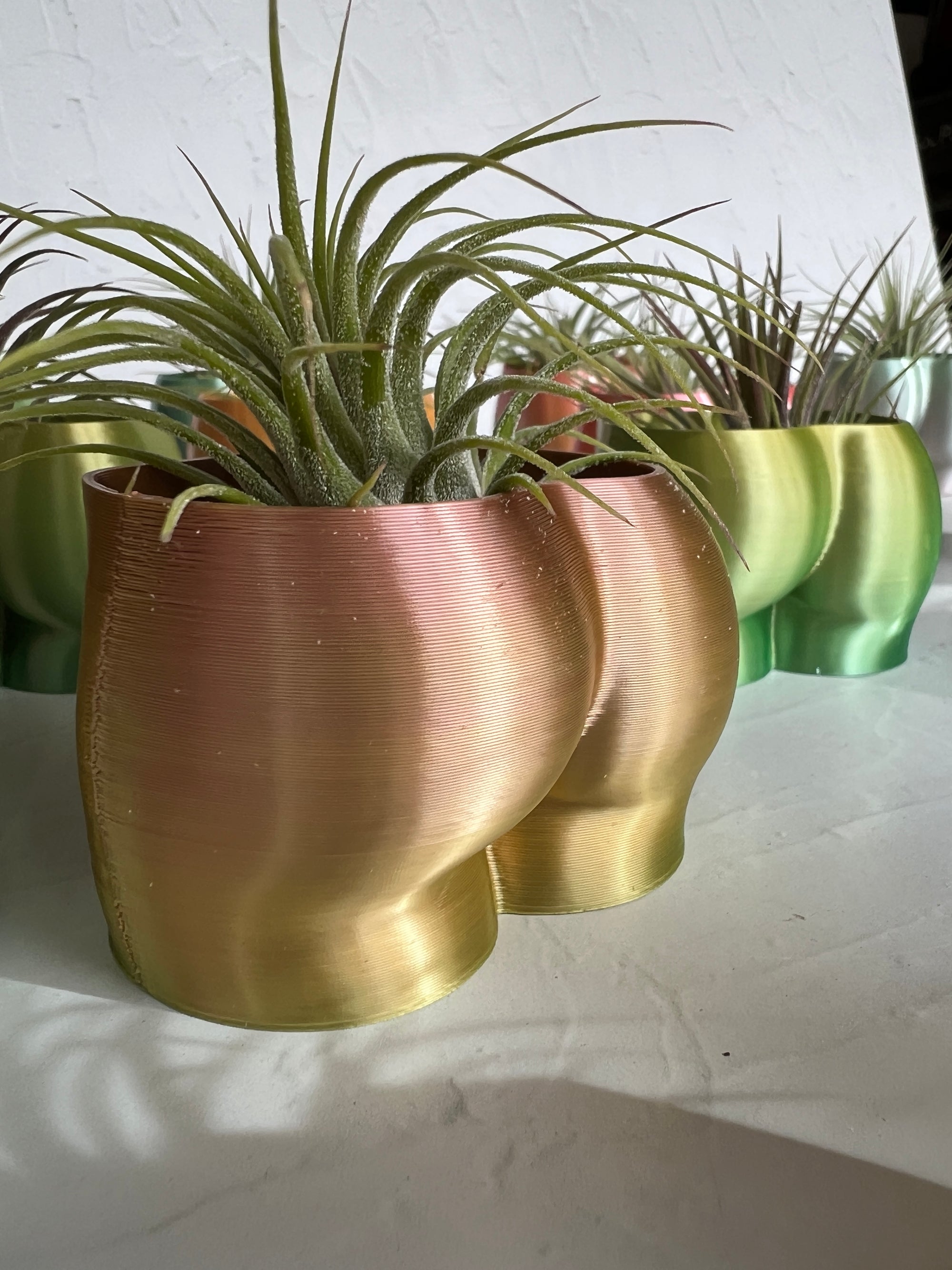 Cheeky Booty Planter + Air Plant