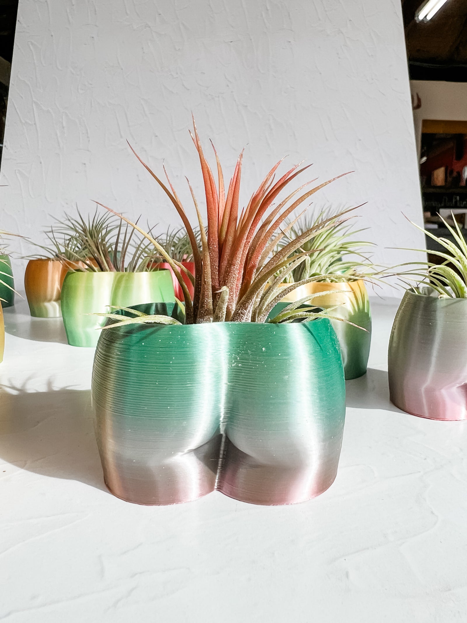 Cheeky Booty Planter + Air Plant