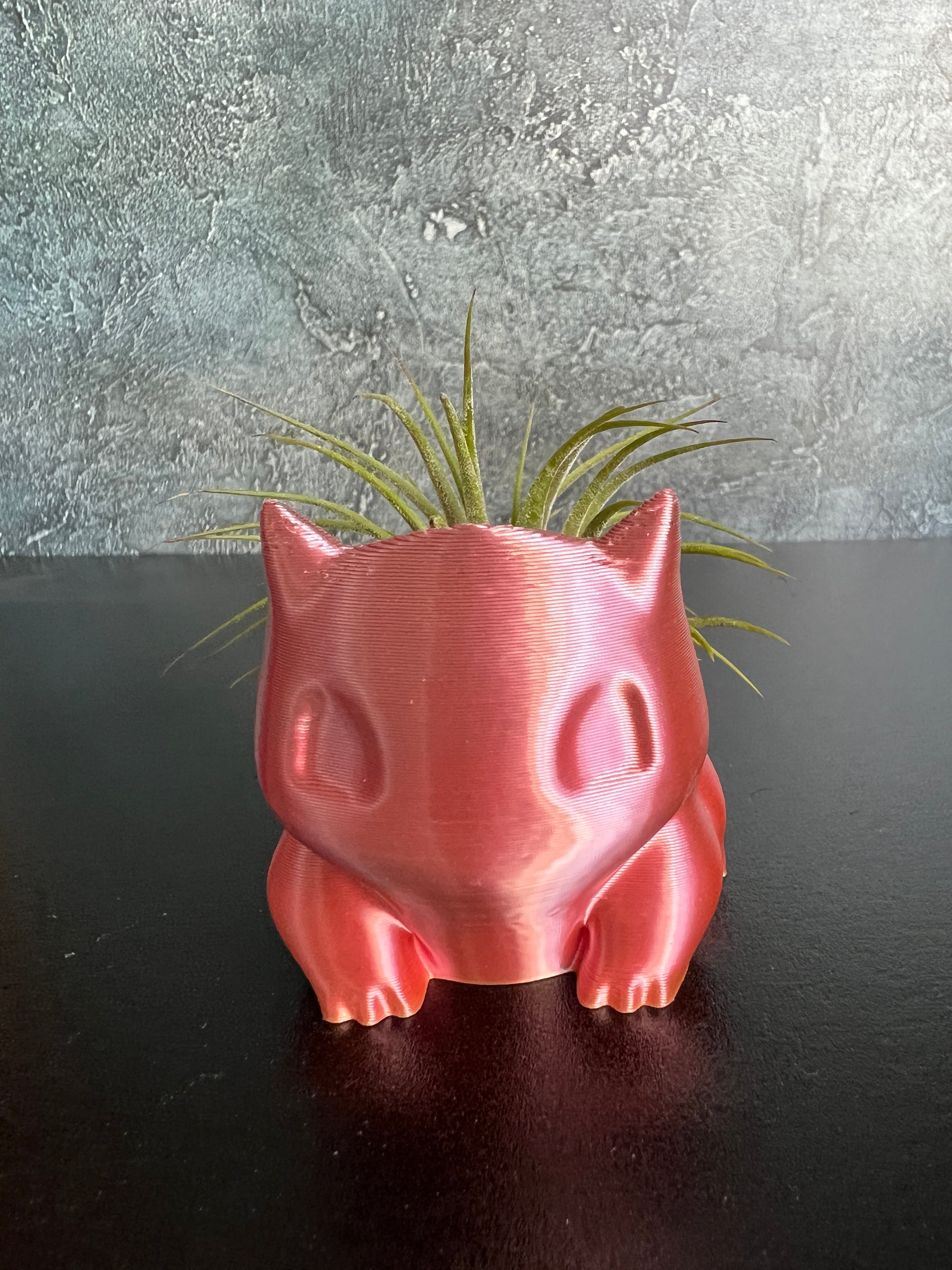 Bulbasaur Bloom Planter + air plant