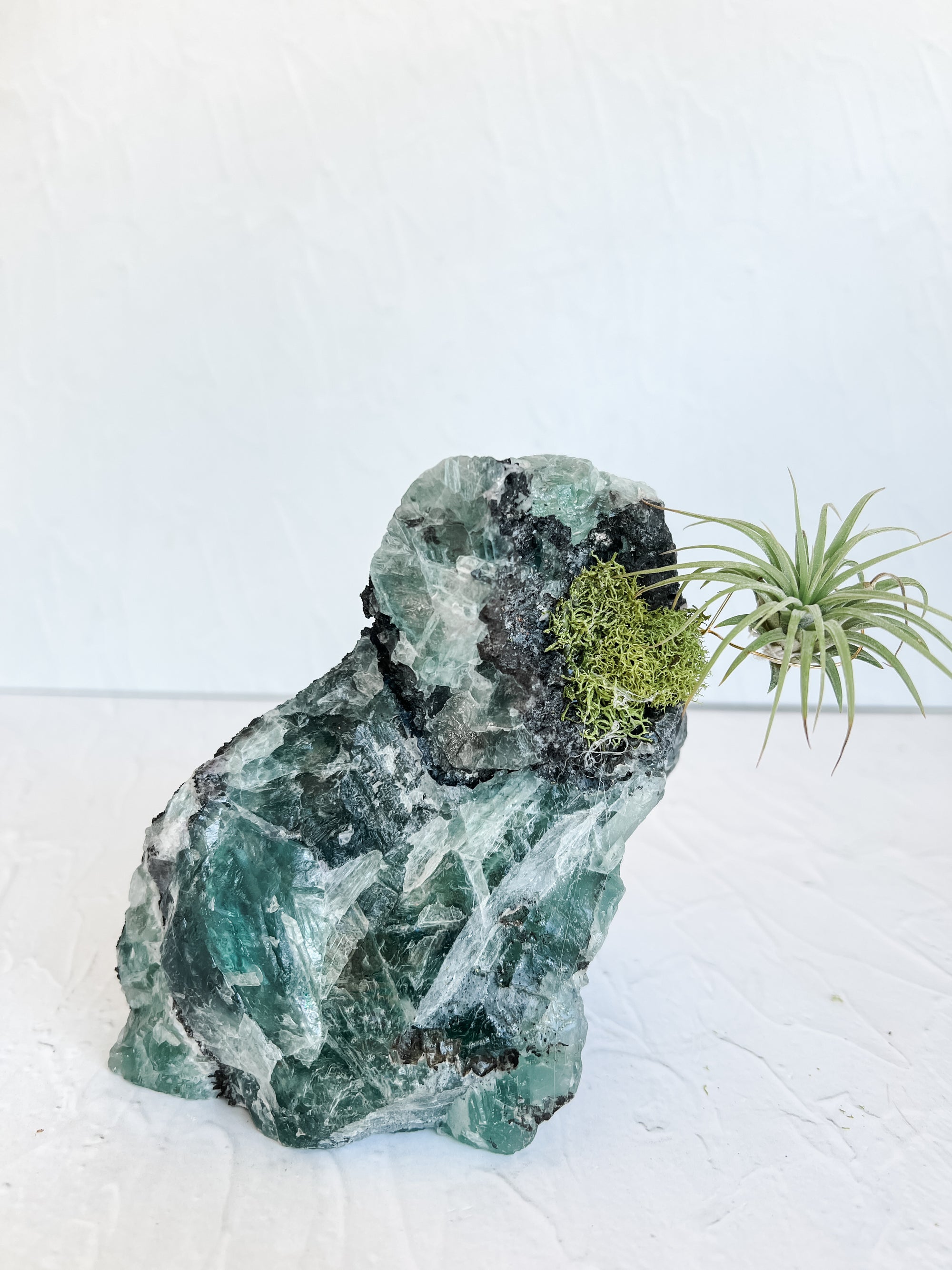 Rainbow Chunky Rough Fluorite and Air plant