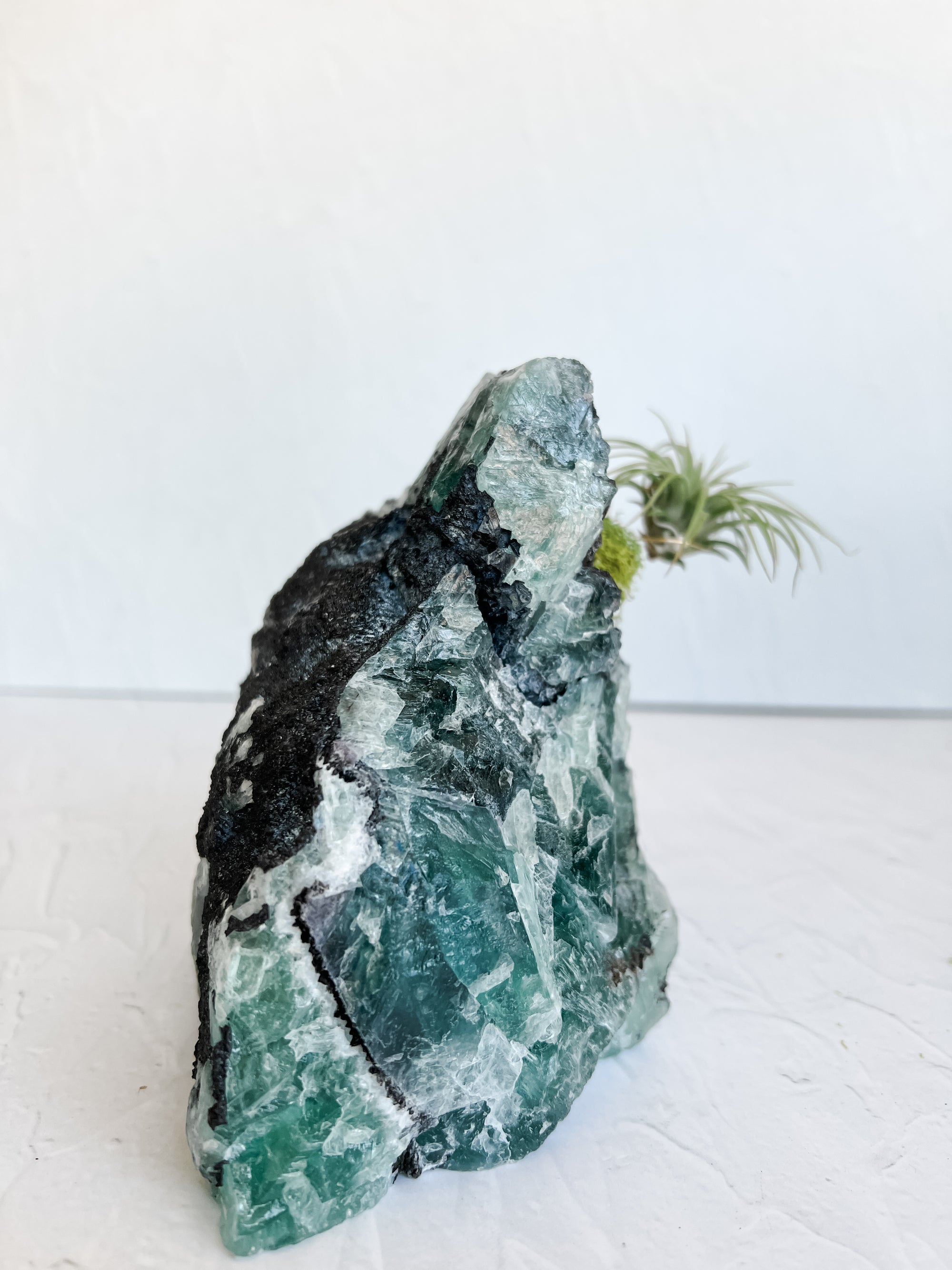 Rainbow Chunky Rough Fluorite and Air plant