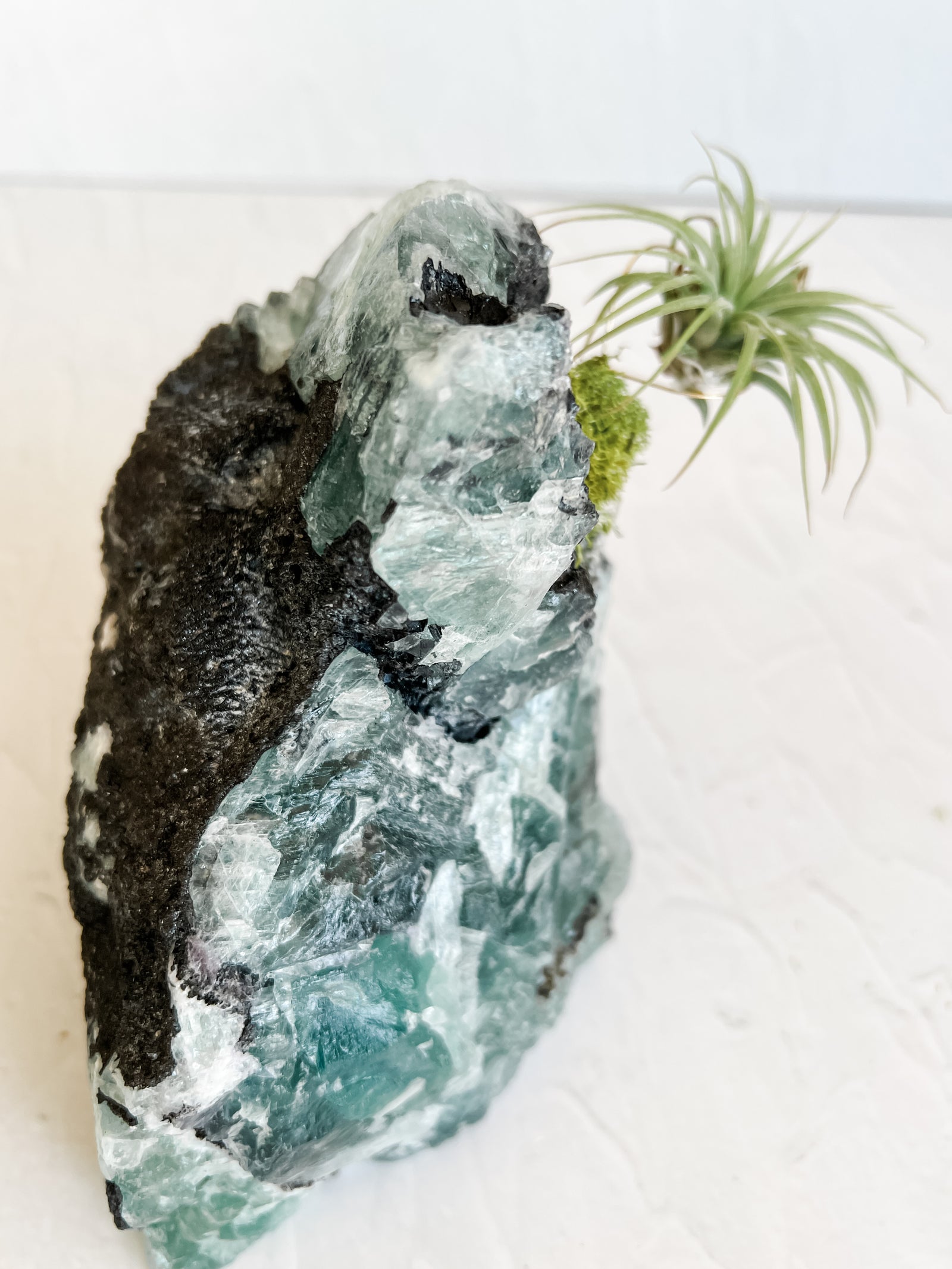 Rainbow Chunky Rough Fluorite and Air plant