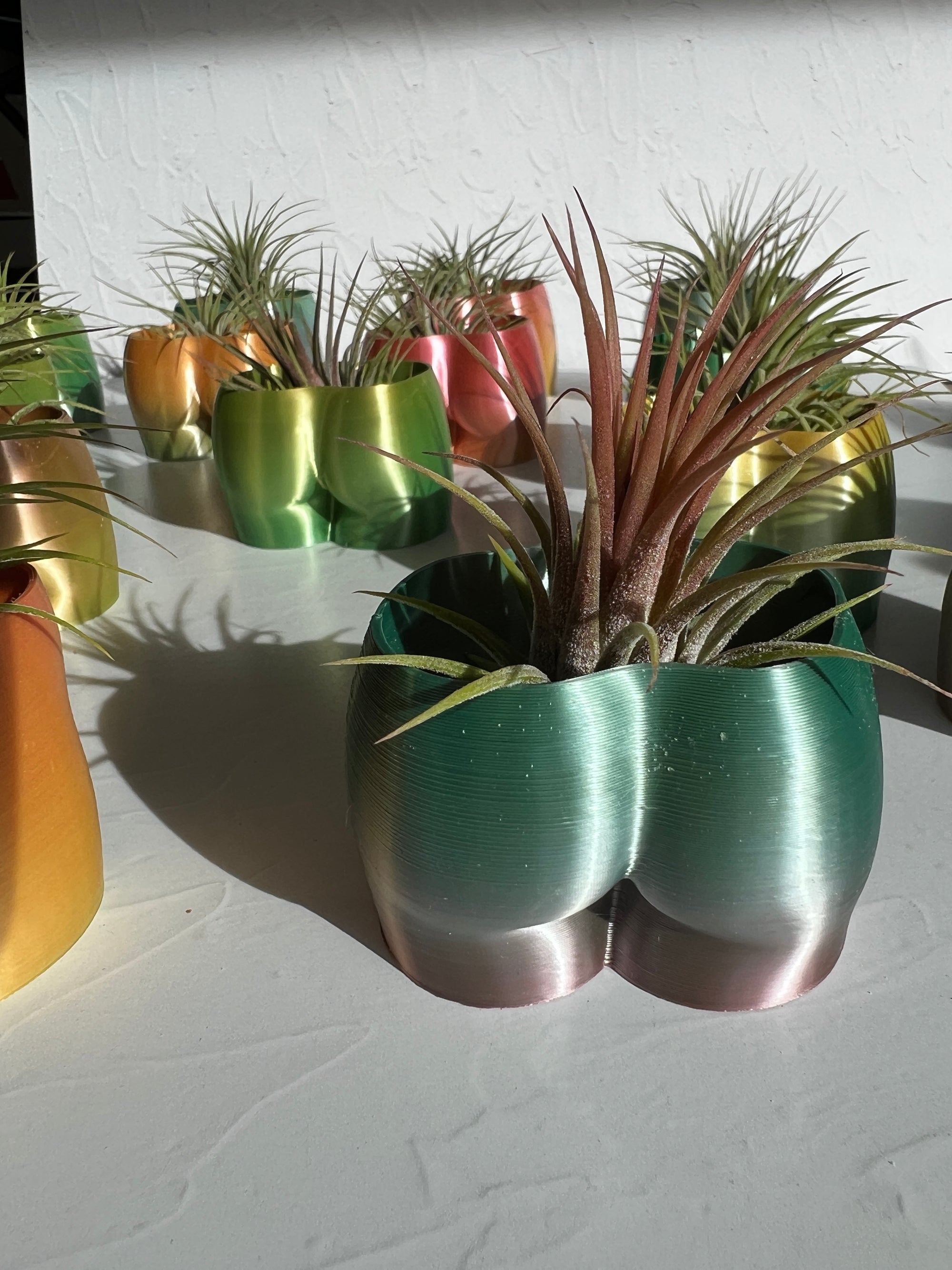 Cheeky Booty Planter + Air Plant