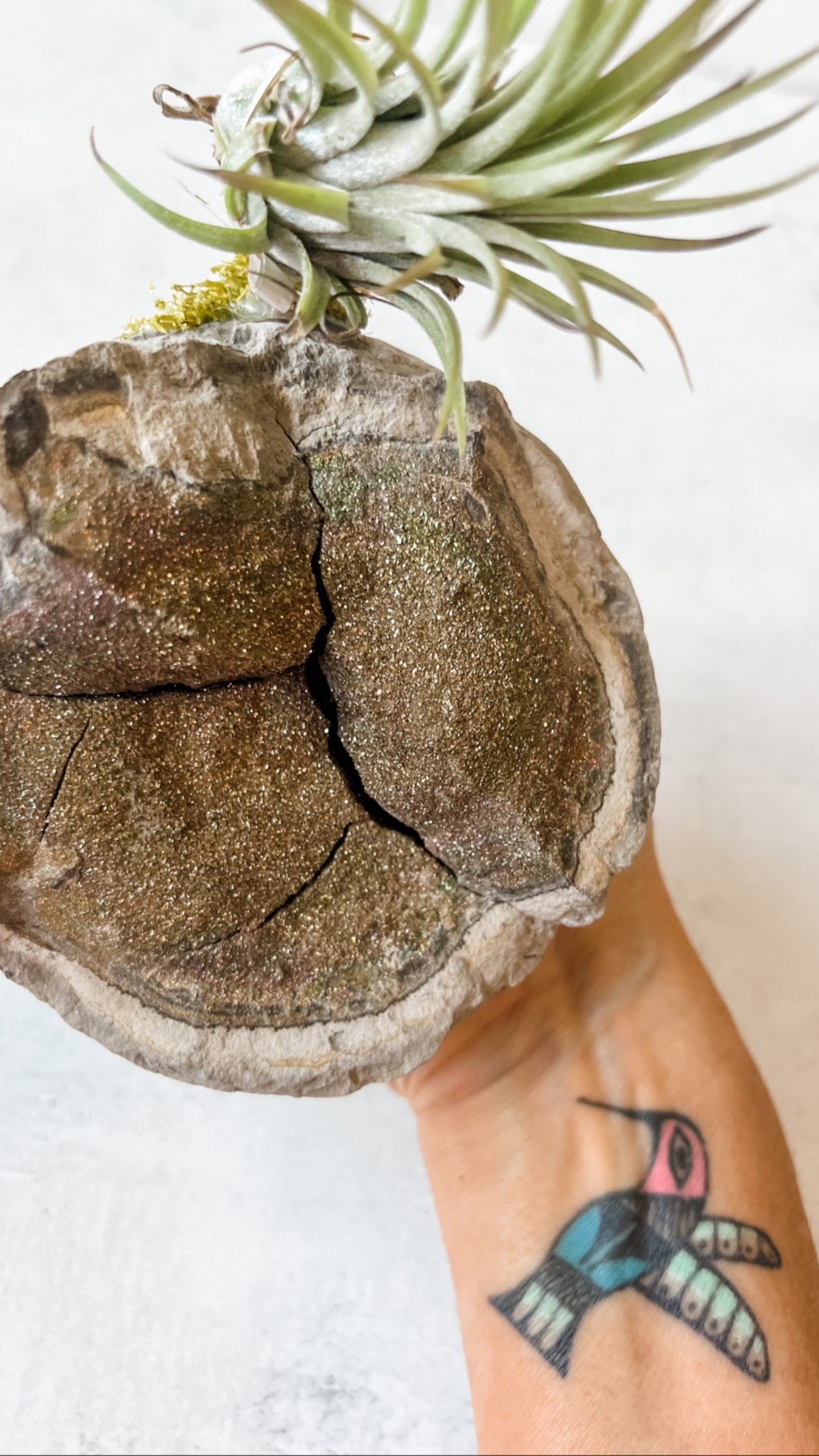 Rainbow Pyrite - massive