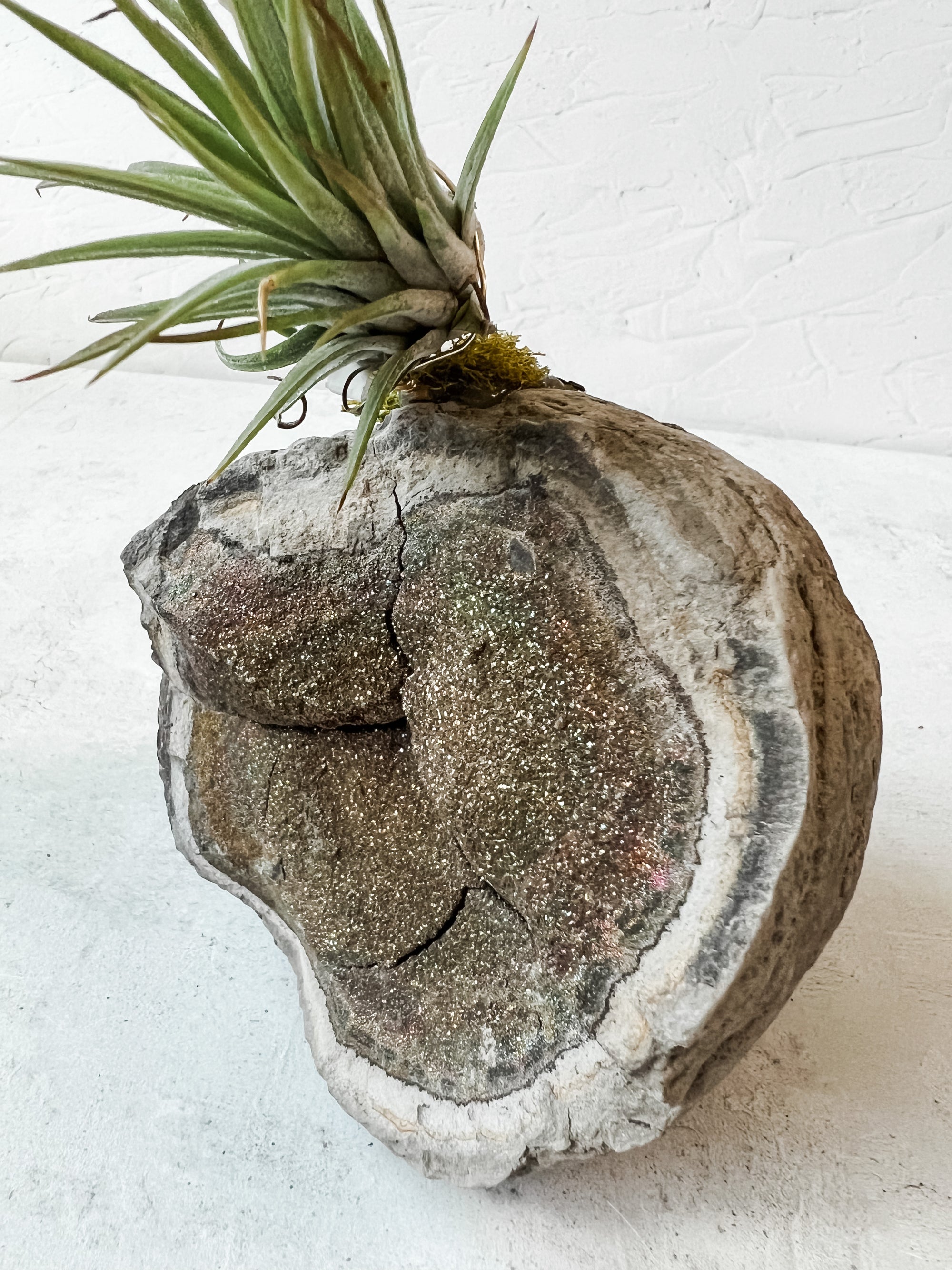 Rainbow Pyrite - massive