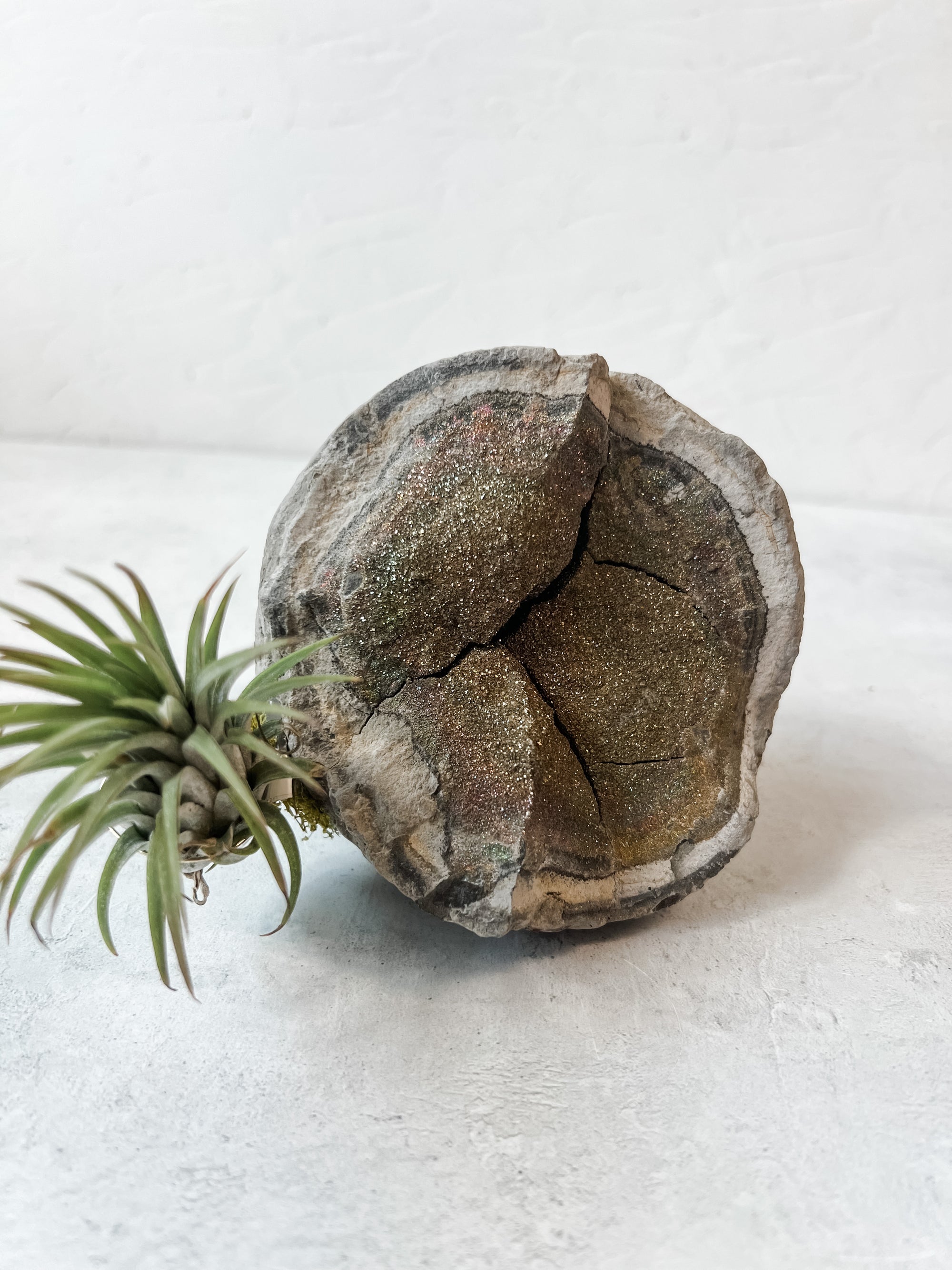 Rainbow Pyrite - massive