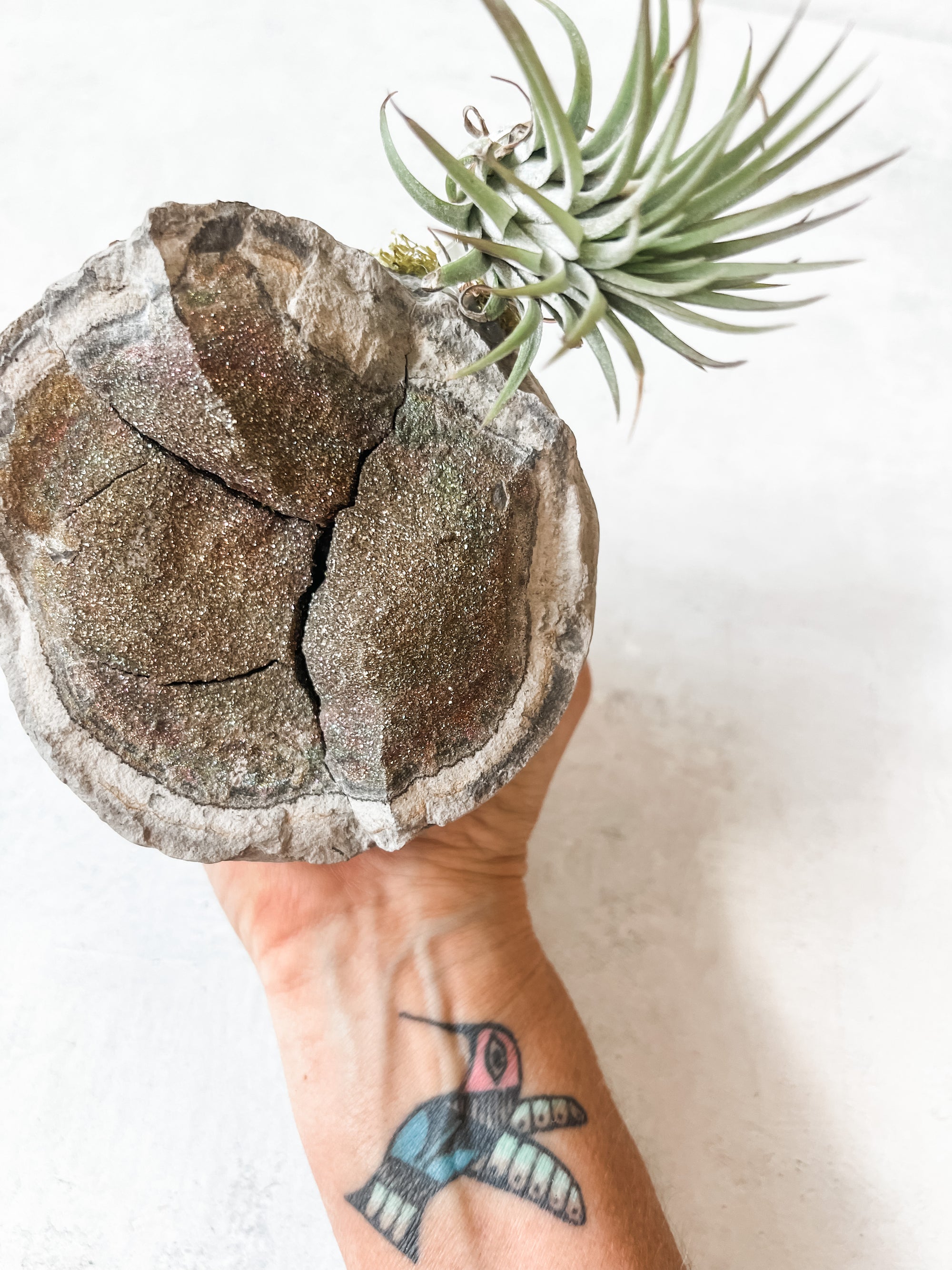 Rainbow Pyrite - massive