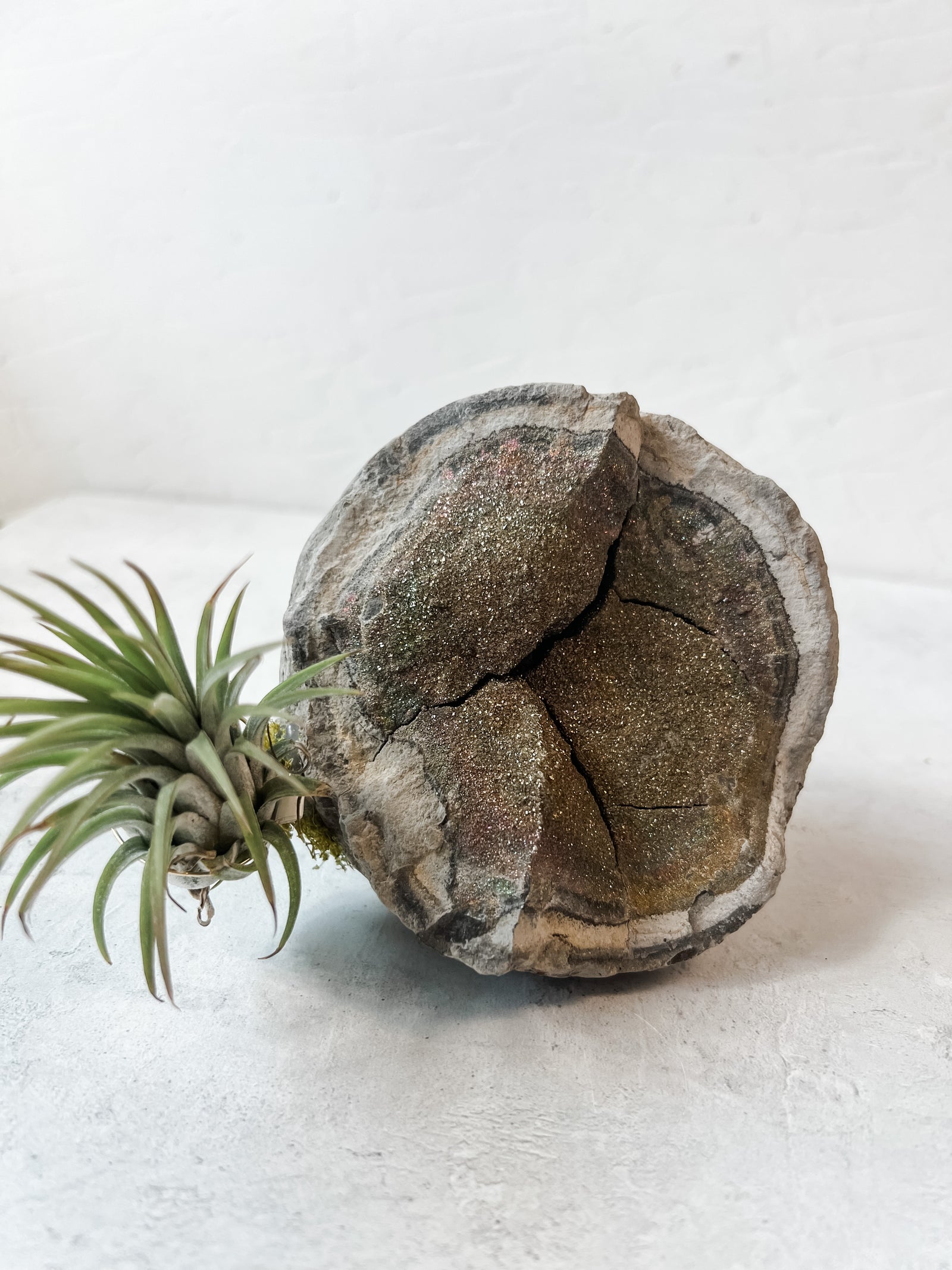 Rainbow Pyrite - massive