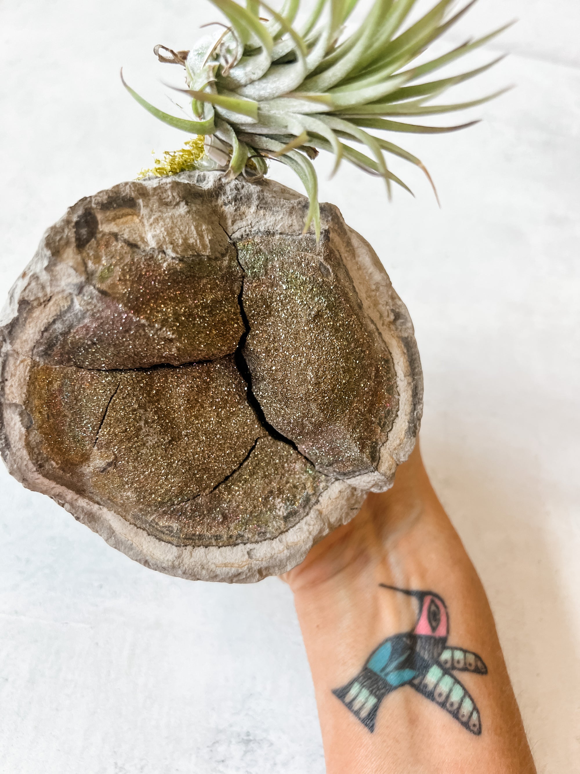 Rainbow Pyrite - massive