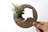 Alaska State Wooden Cut Out Magnet  + Air Plant