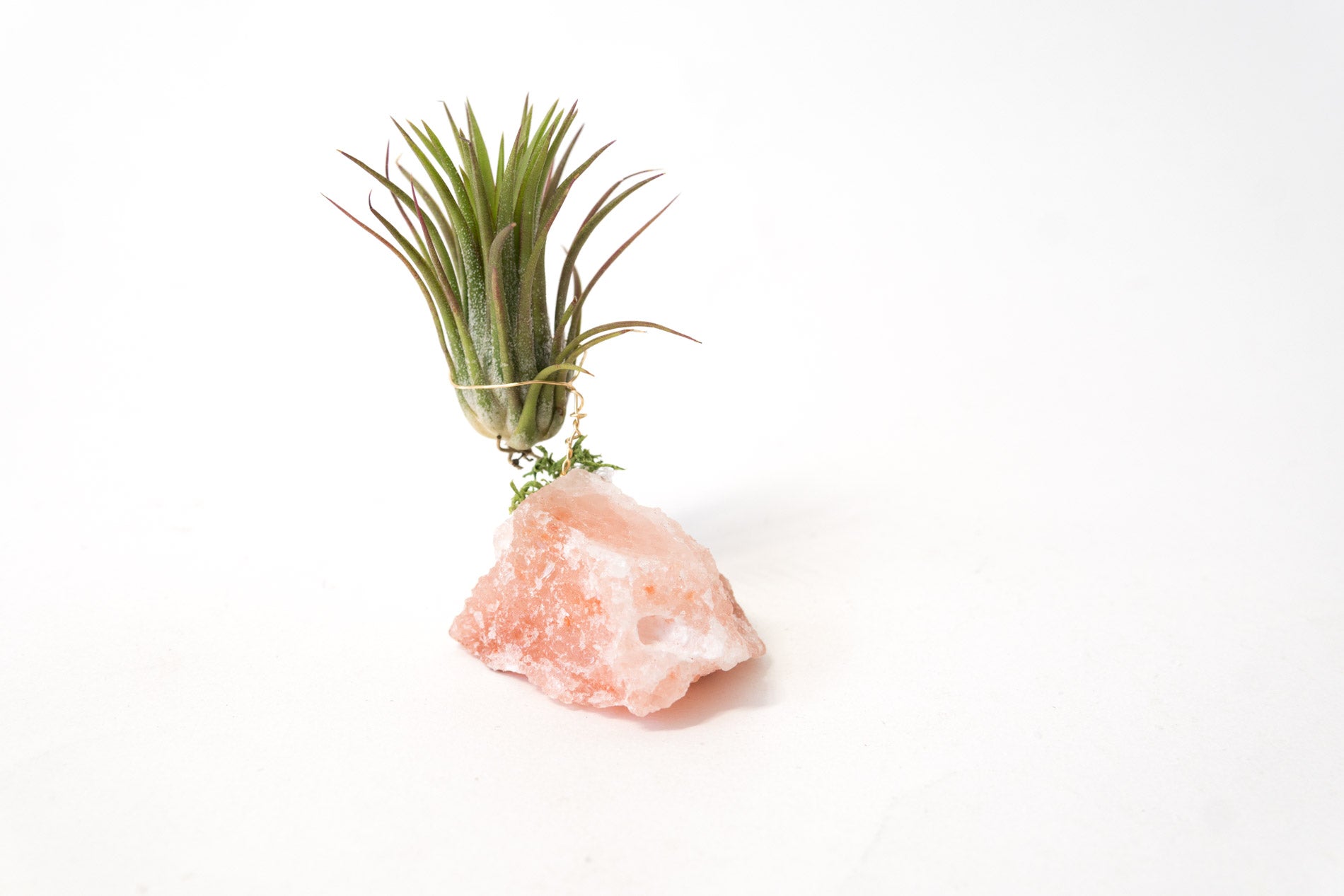 Himalayan Salt Crystal + Air Plant