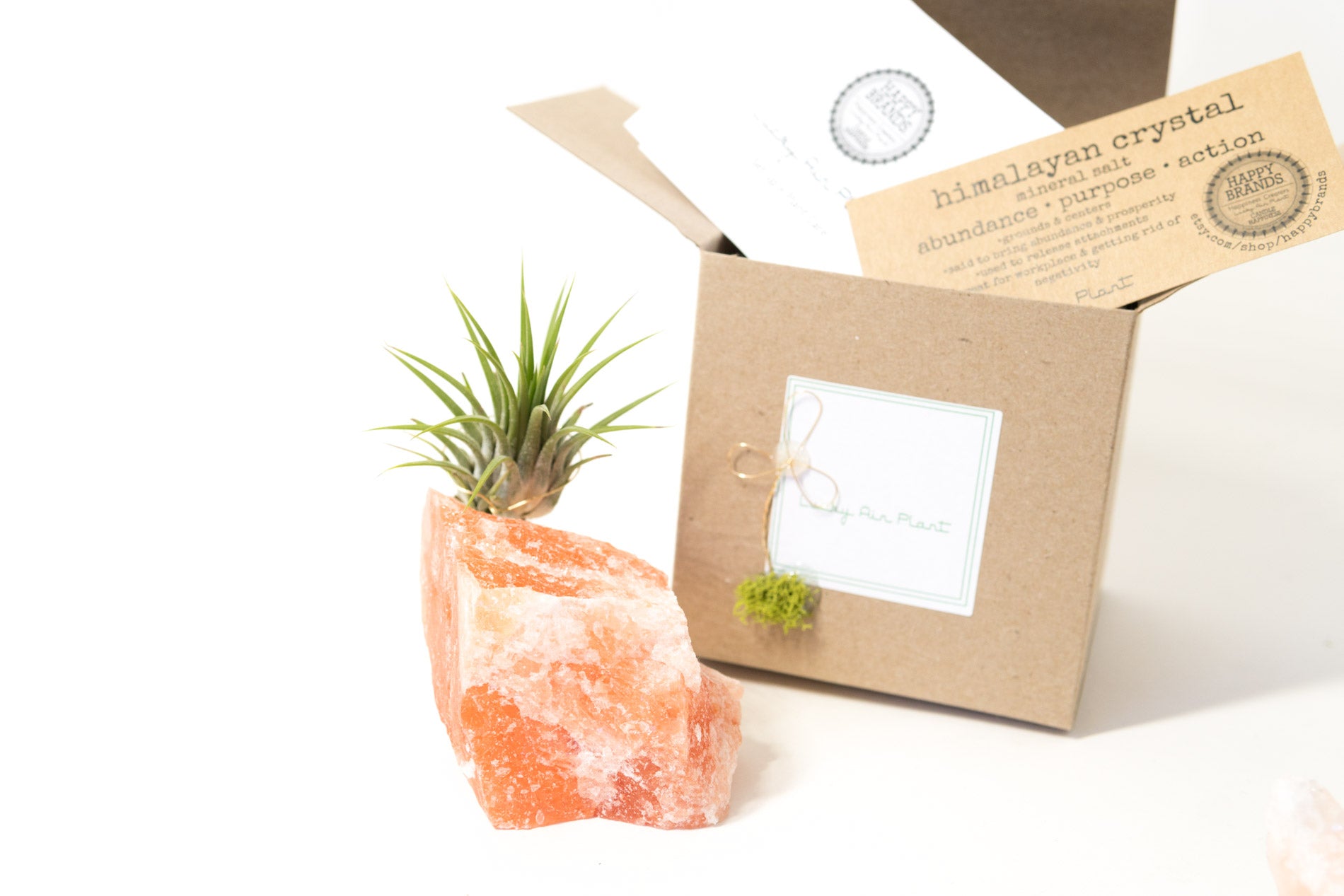 Himalayan Salt Crystal + Air Plant