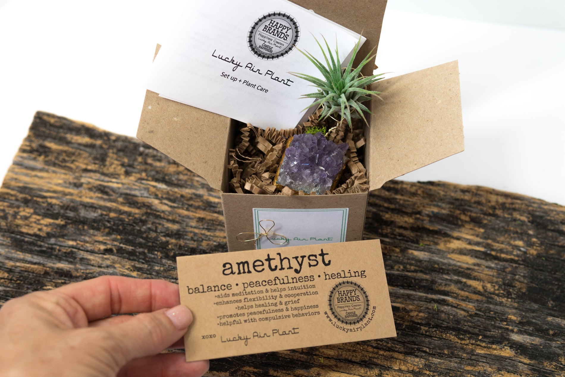 Amethyst + Air Plant