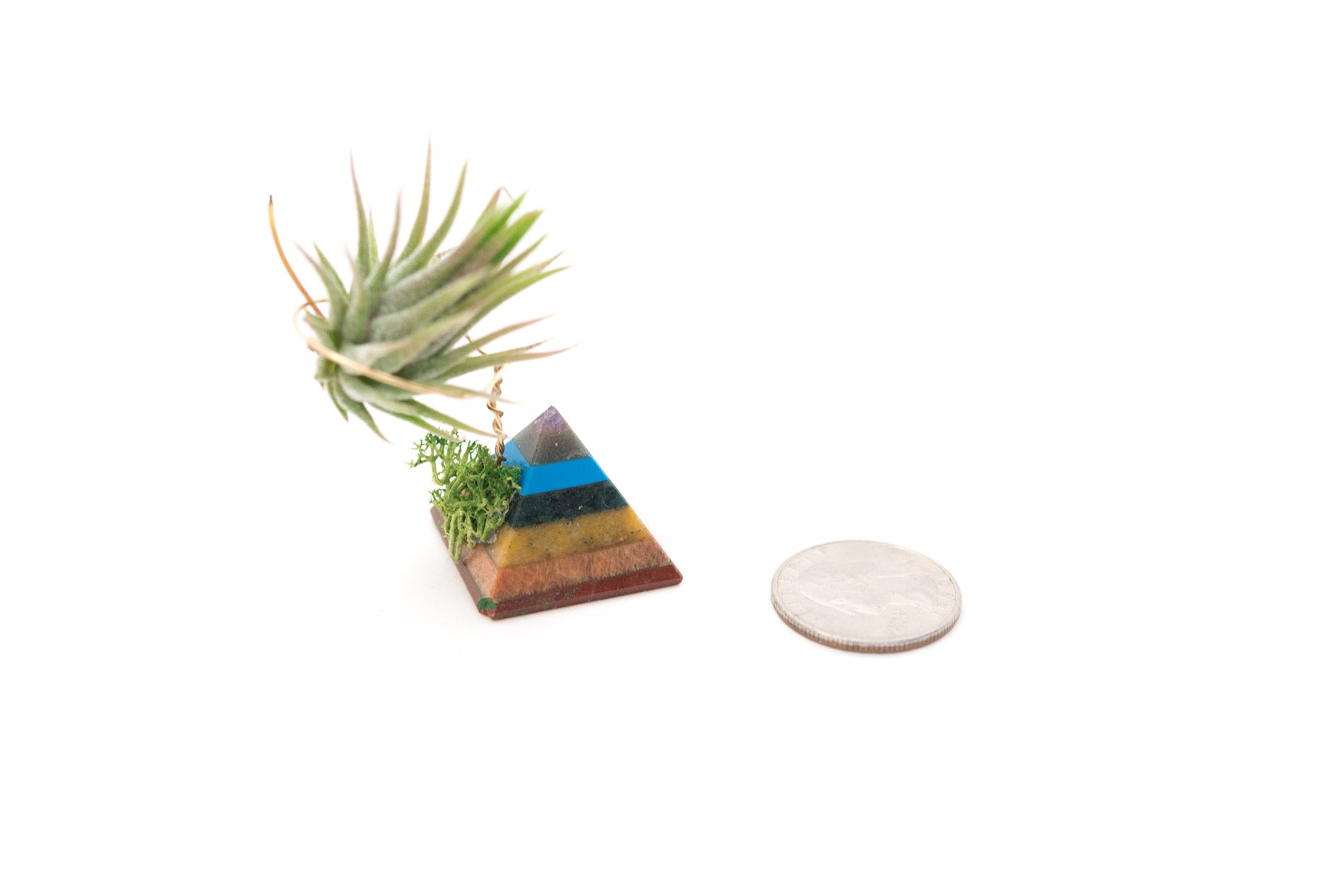 Chakra Pyramid + Air Plant