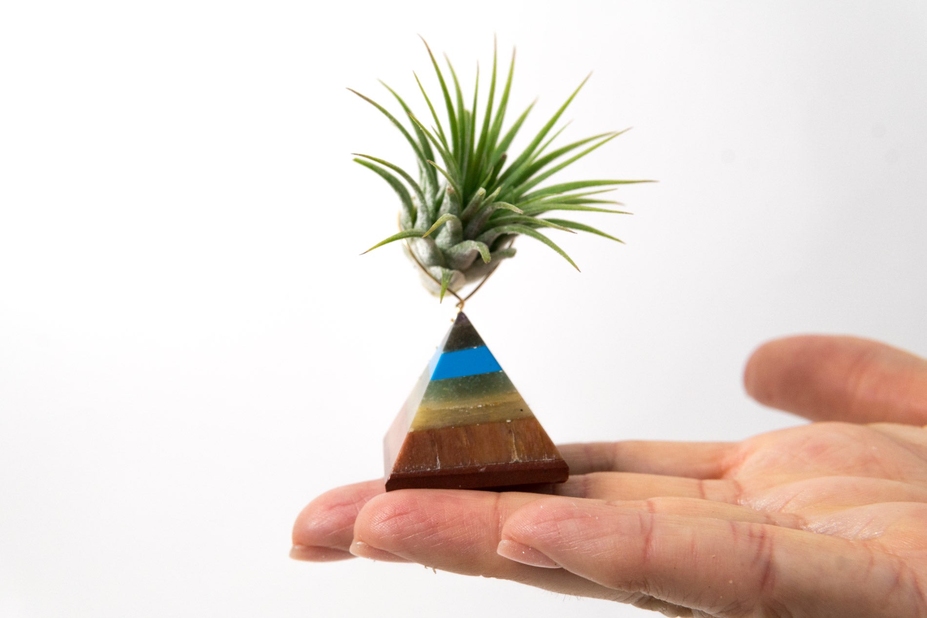 Chakra Pyramid + Air Plant