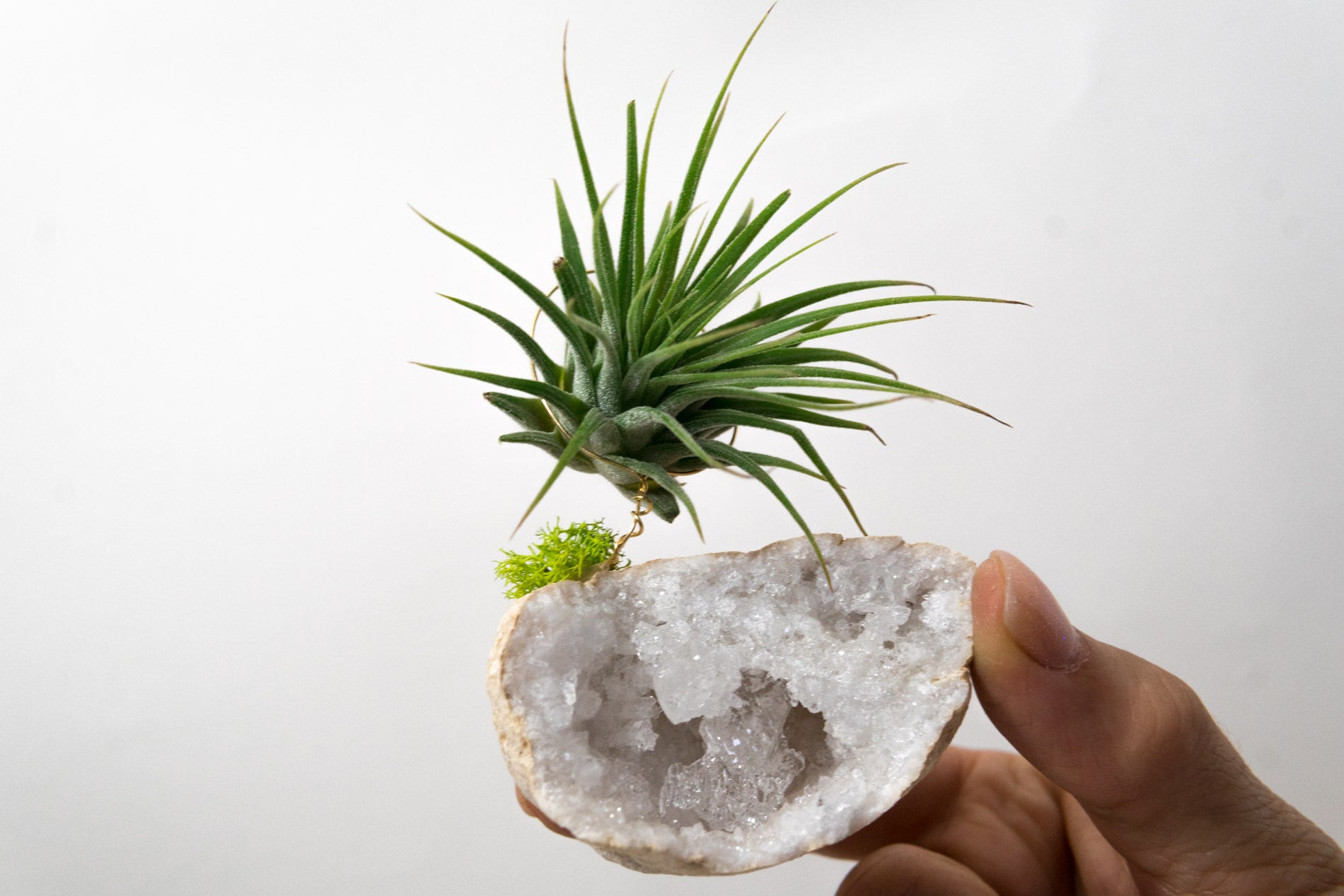 Moroccan Geode  + Air Plant