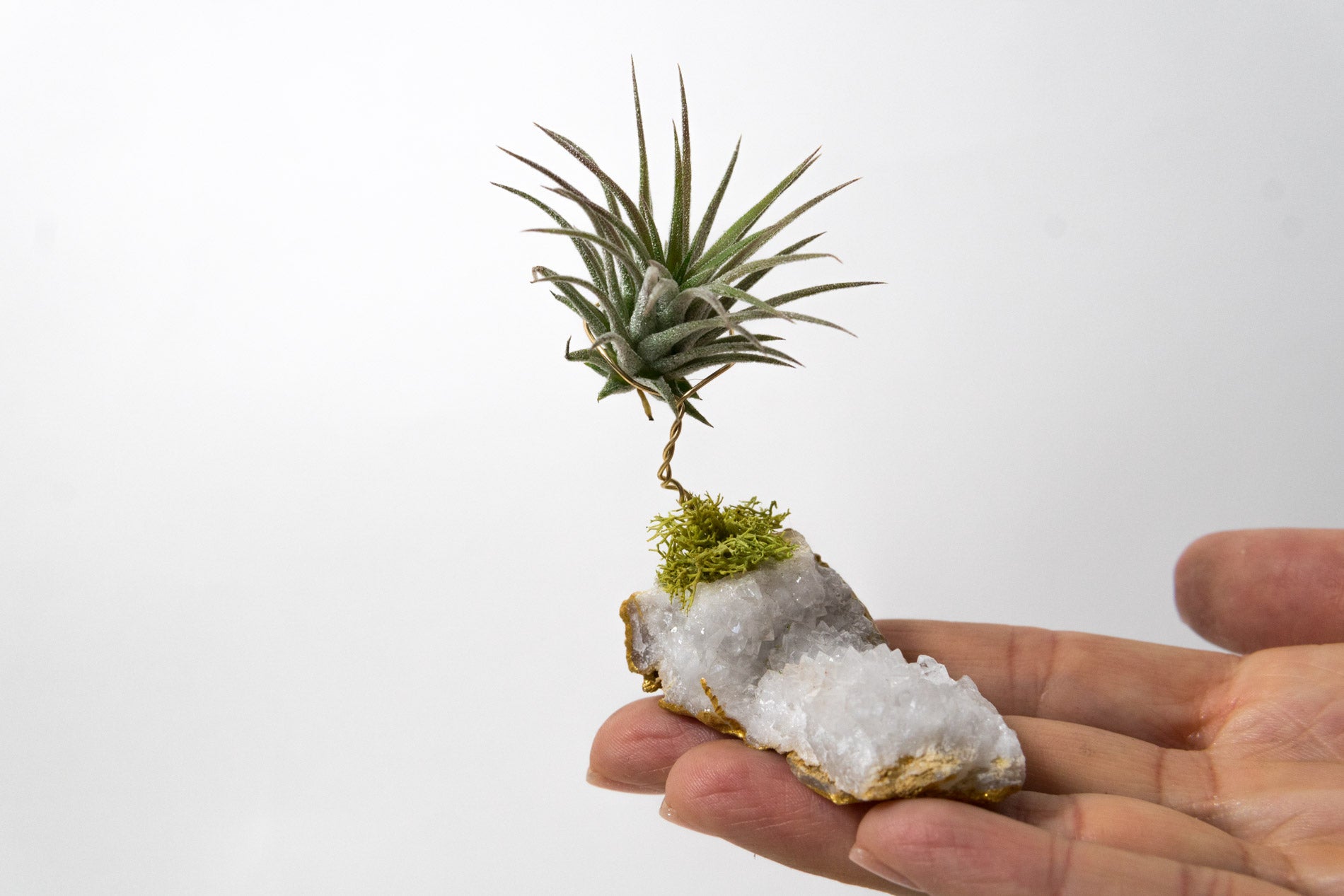 Moroccan Geode  + Air Plant