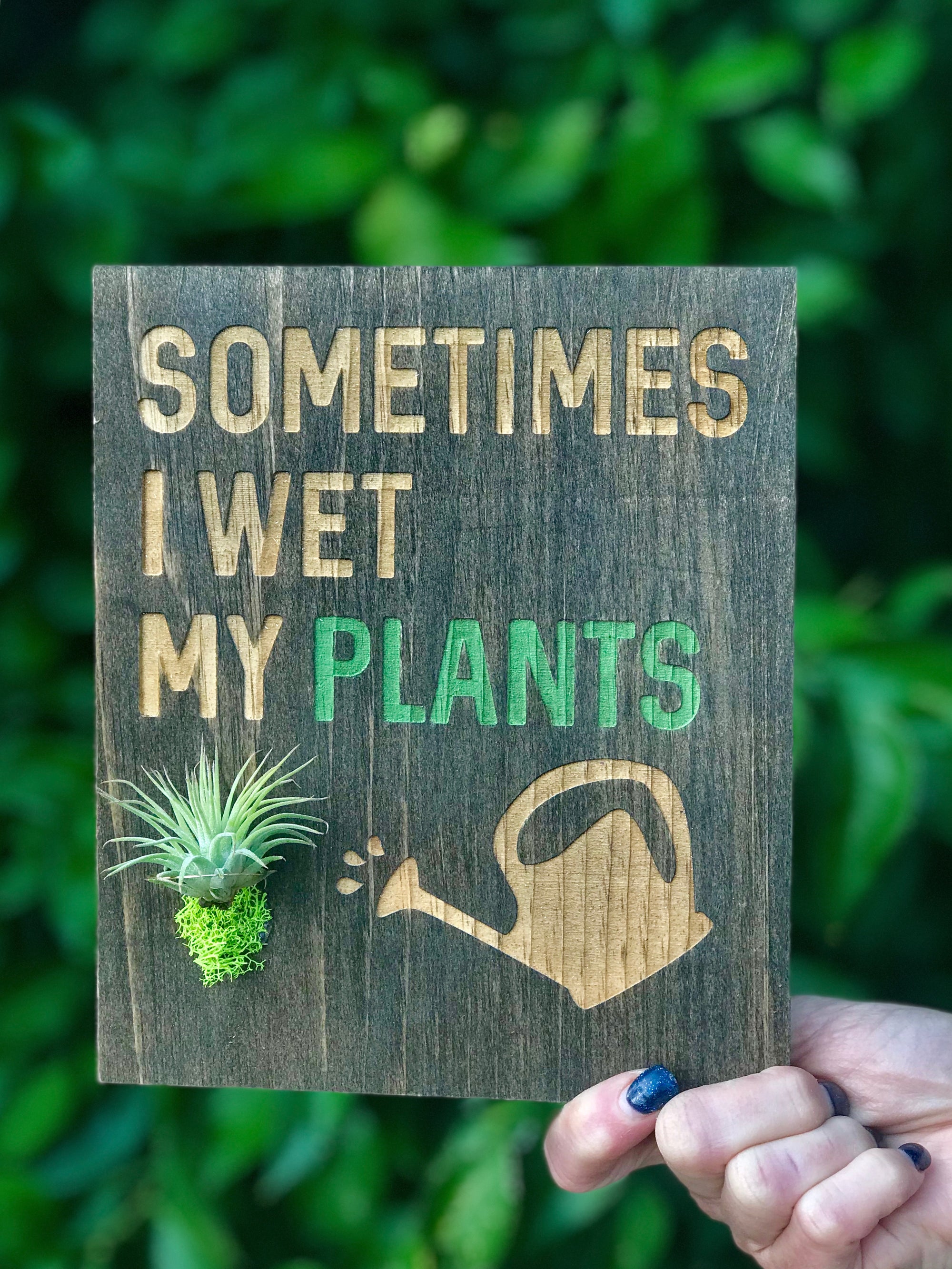 Wood Plaques + Air Plants