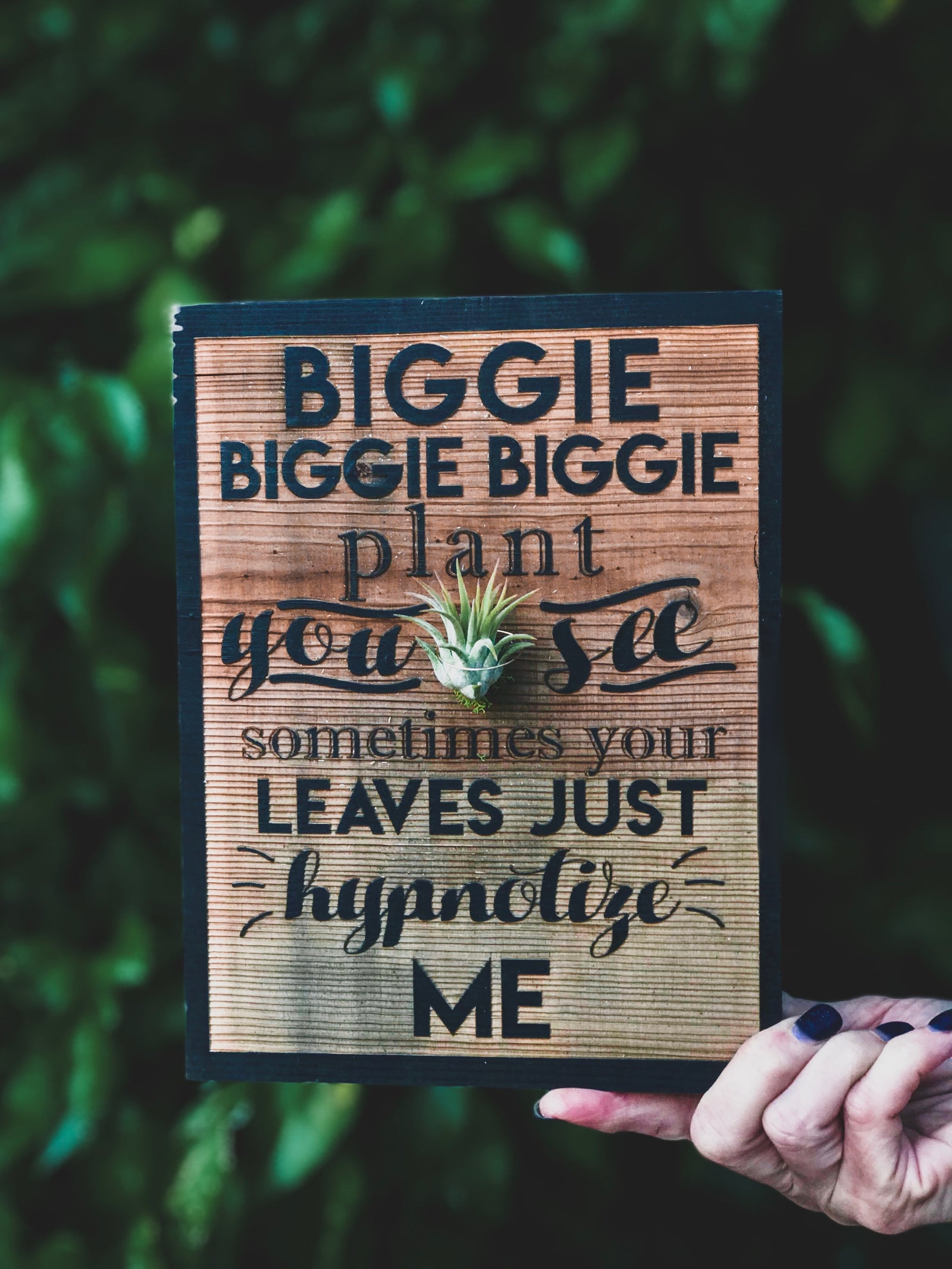 Wood Plaques + Air Plants