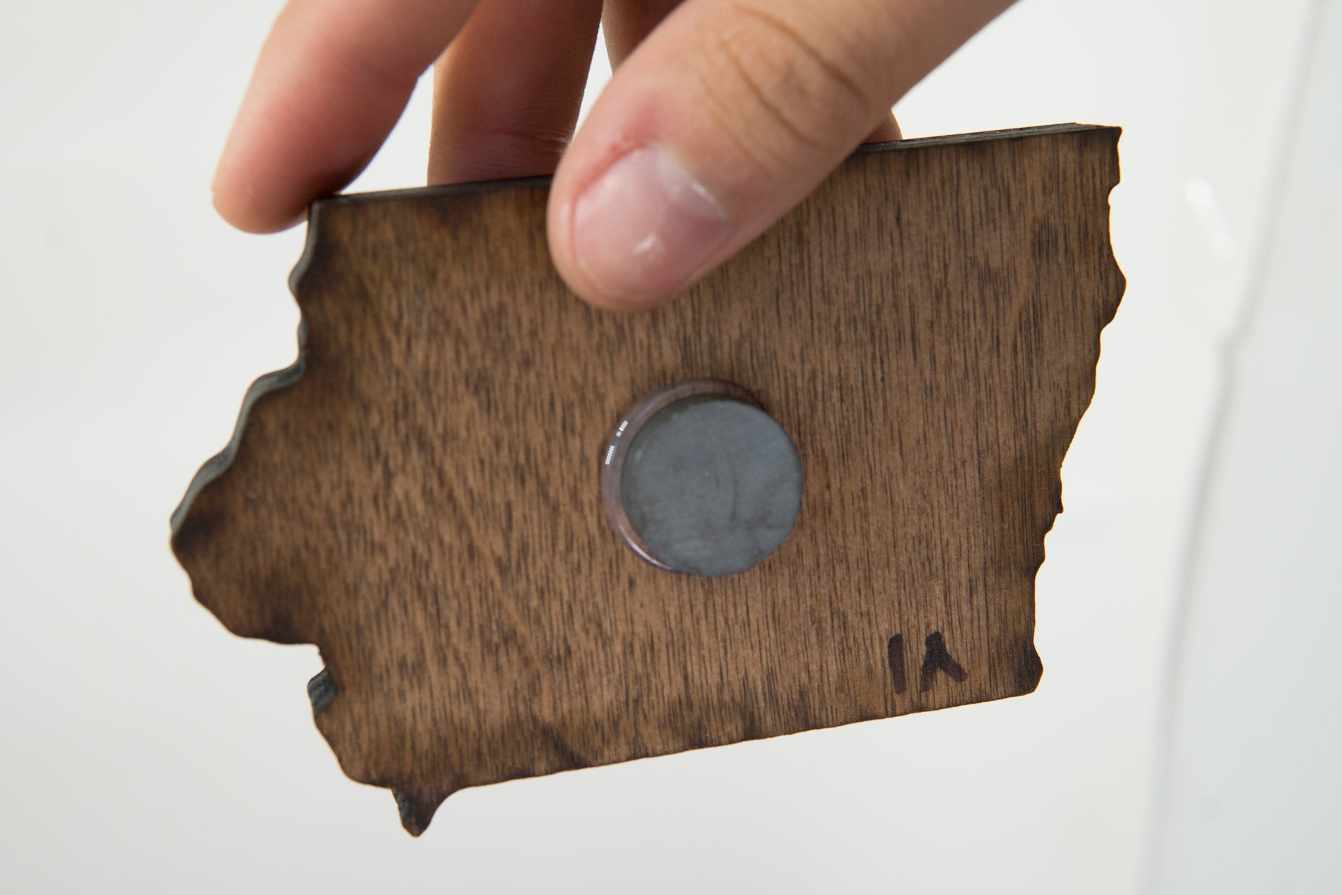 Iowa State Wooden Cut Out Magnet  + Air Plant