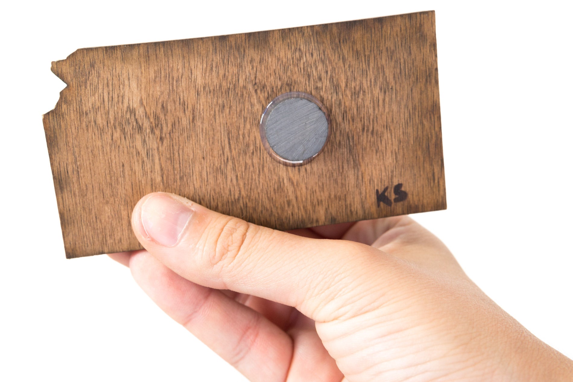 Kansas State Wooden Cut Out Magnet  + Air Plant