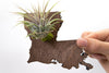 Louisiana State Wooden Cut Out Magnet  + Air Plant