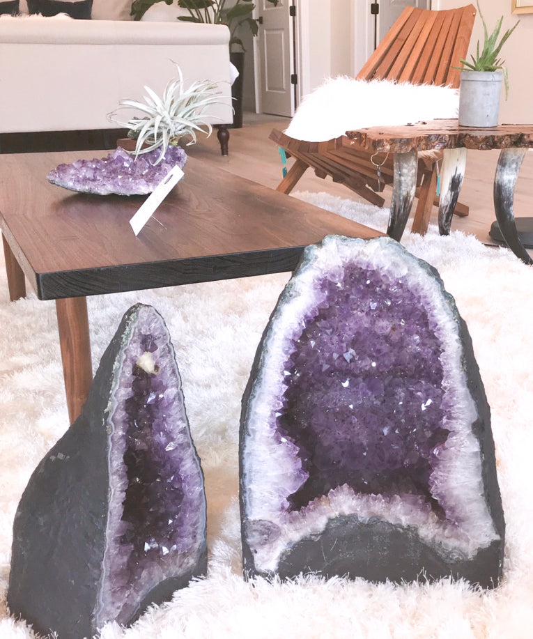 Statement Amethyst + Air Plant