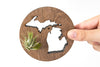 Michigan State Wooden Cut Out Magnet  + Air Plant