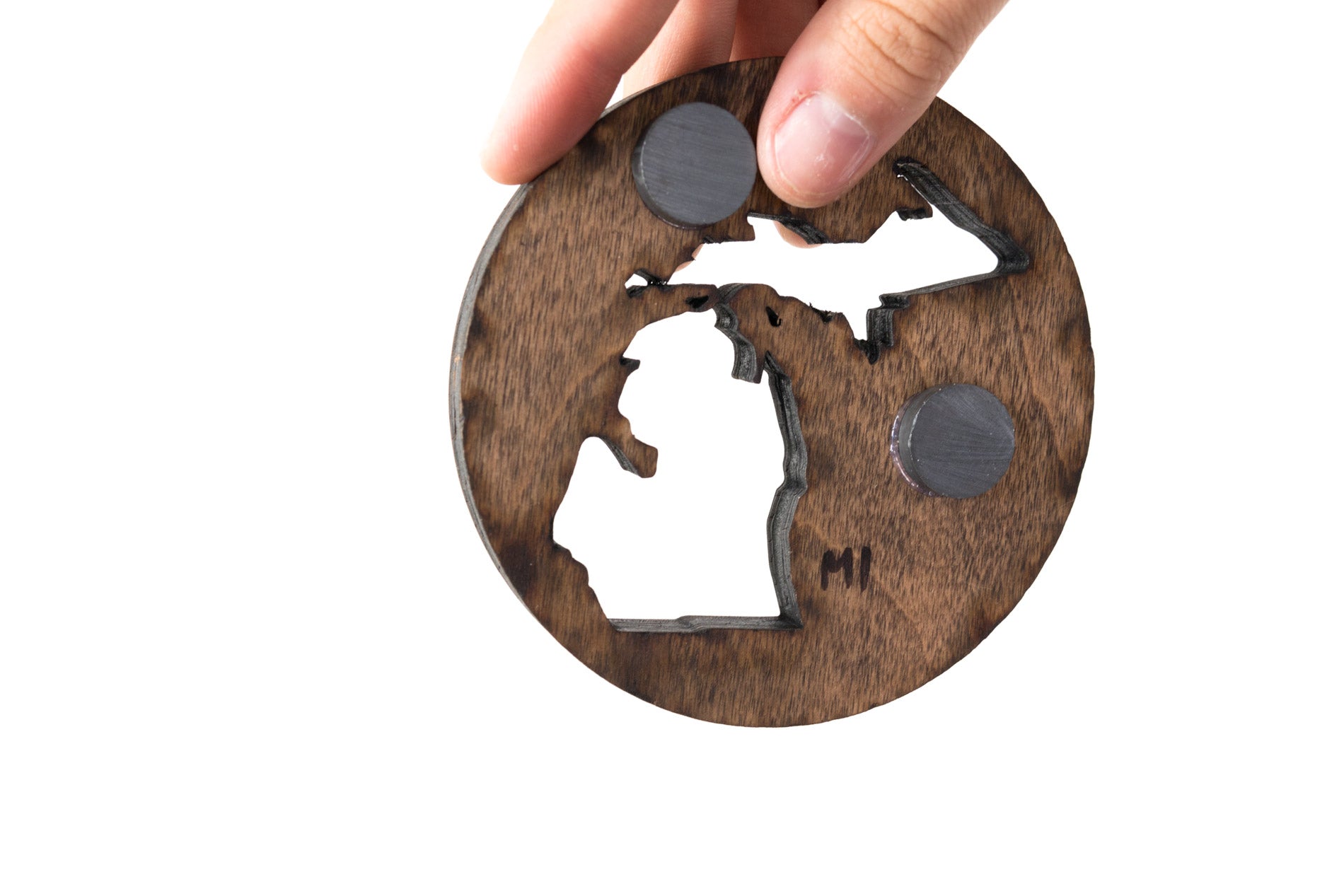 Michigan State Wooden Cut Out Magnet  + Air Plant