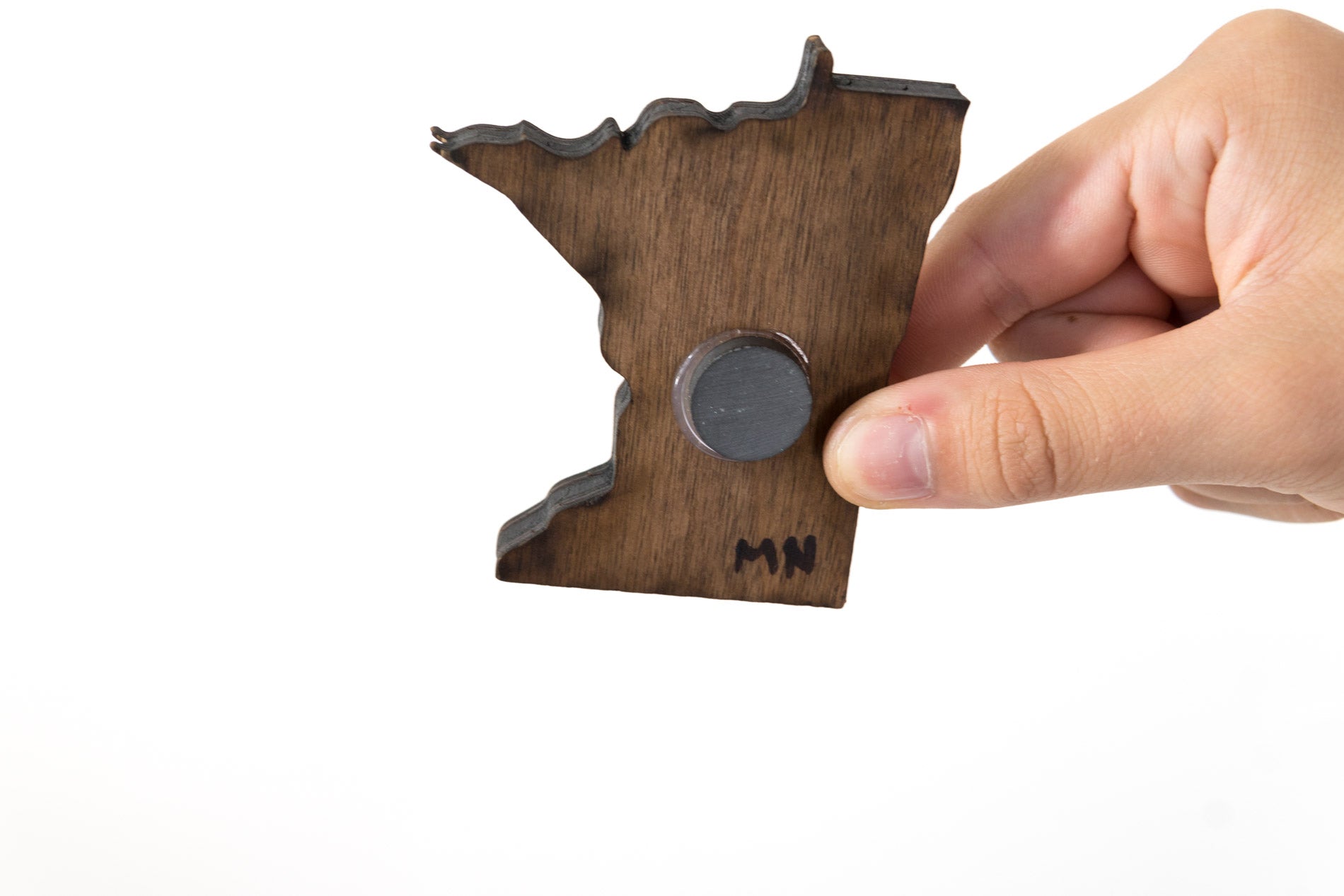Minnesota State Wooden Cut Out Magnet  + Air Plant