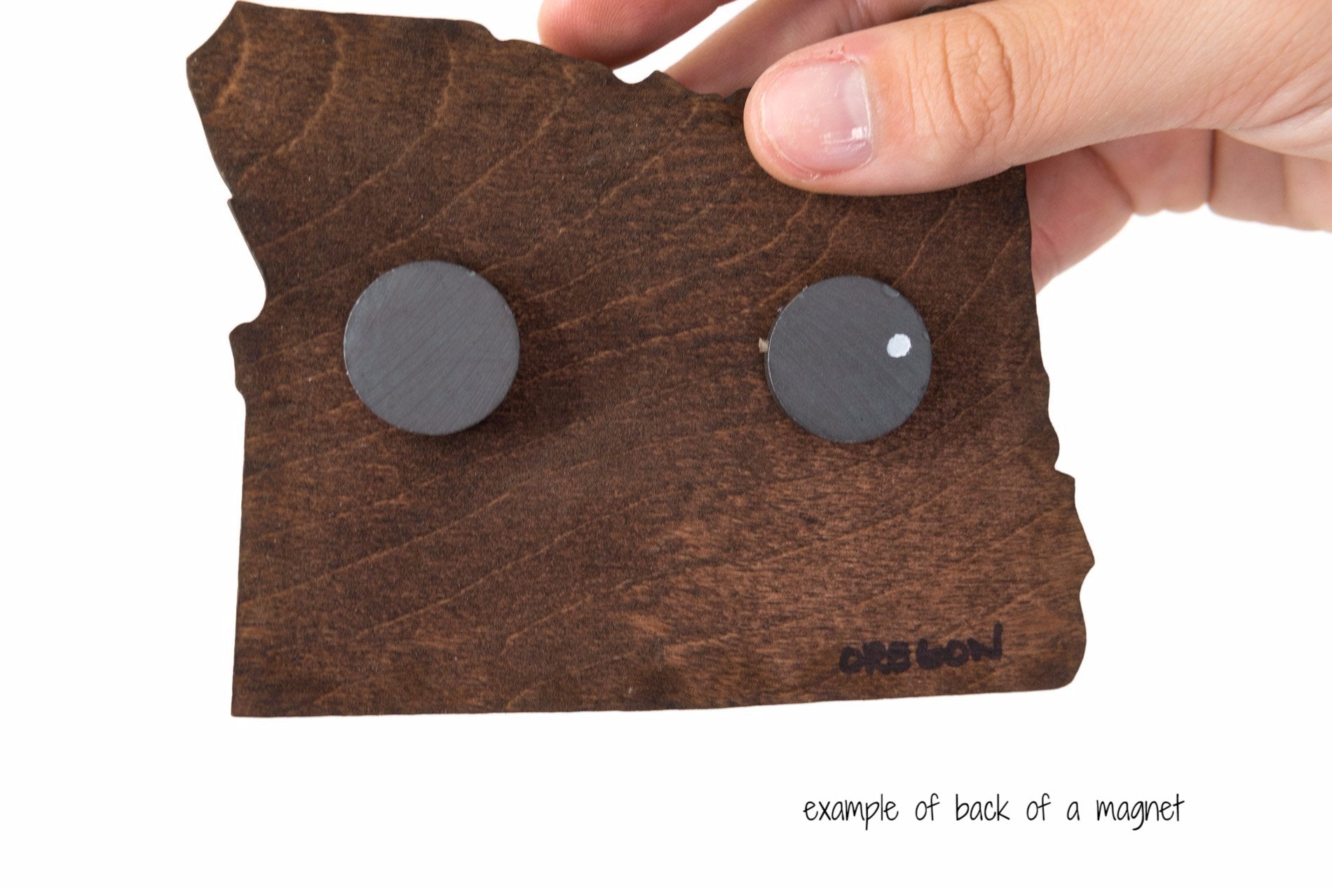 Alaska State Wooden Cut Out Magnet  + Air Plant