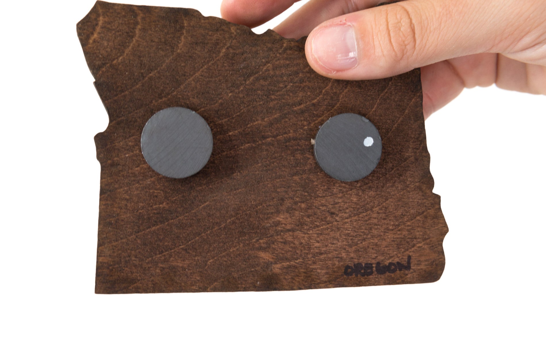 Idaho State Wooden Cut Out Magnet  + Air Plant