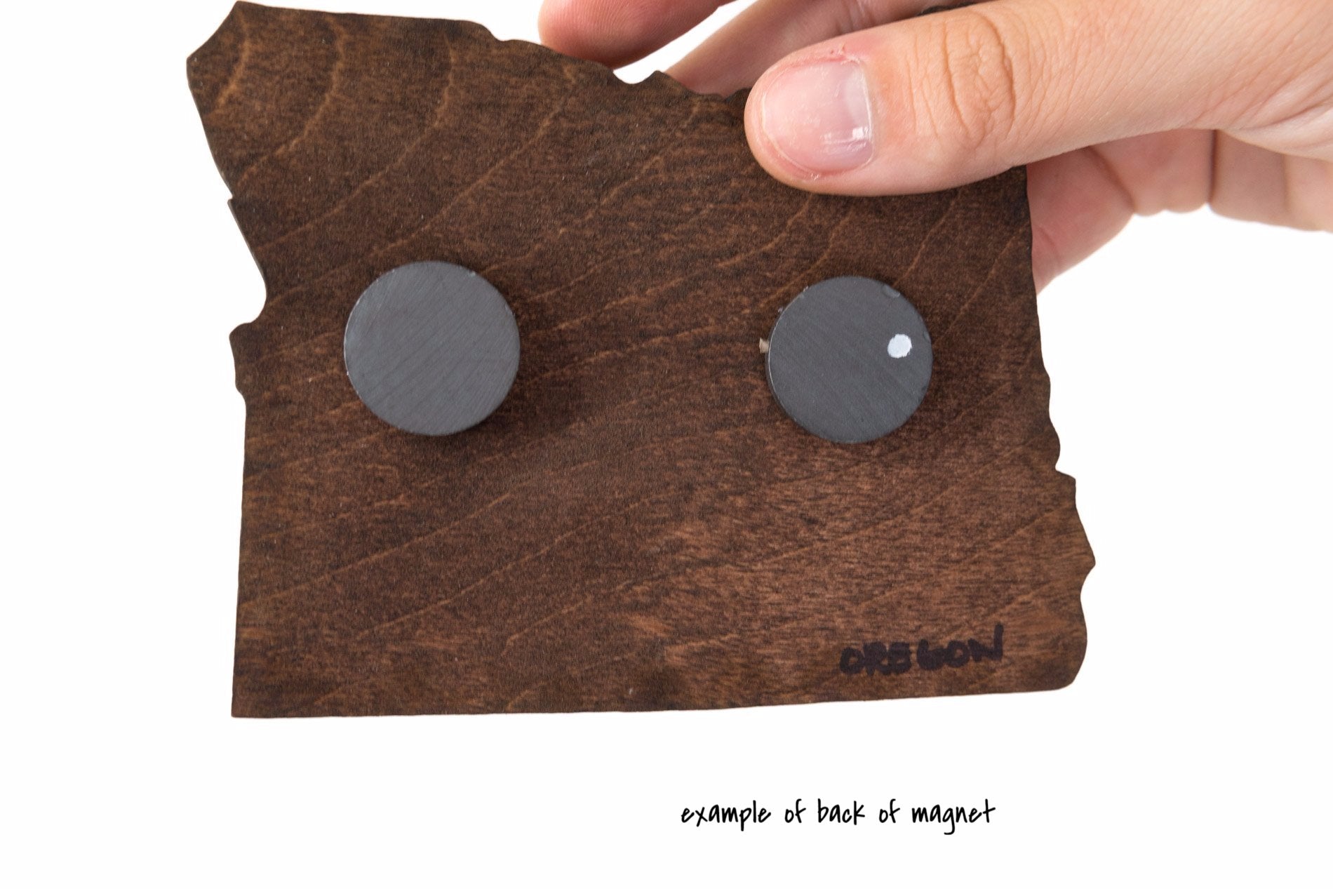 Maryland State Wooden Cut Out Magnet  + Air Plant