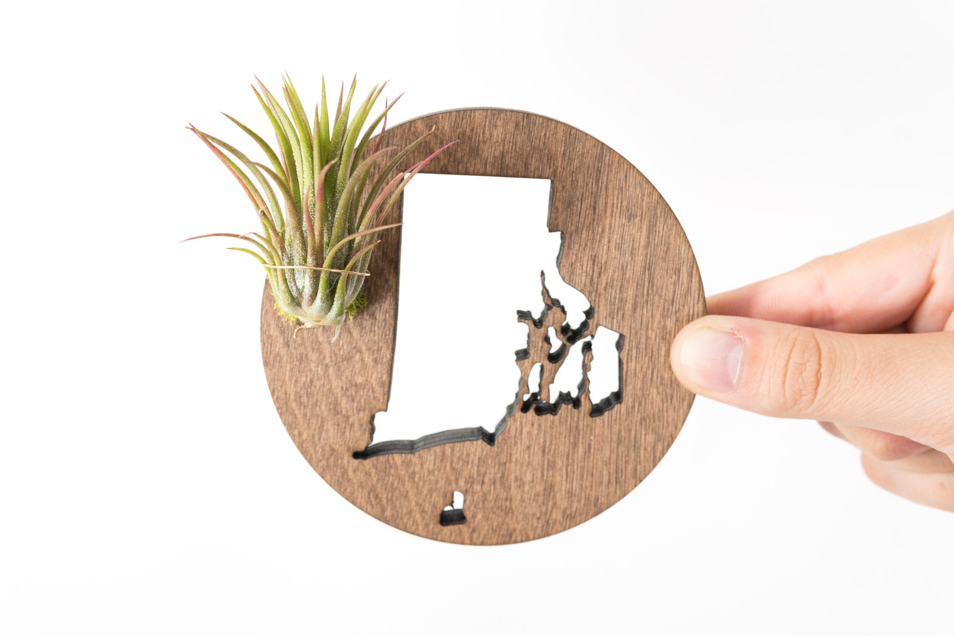 Rhode Island Wooden Cut Out Magnet  + Air Plant