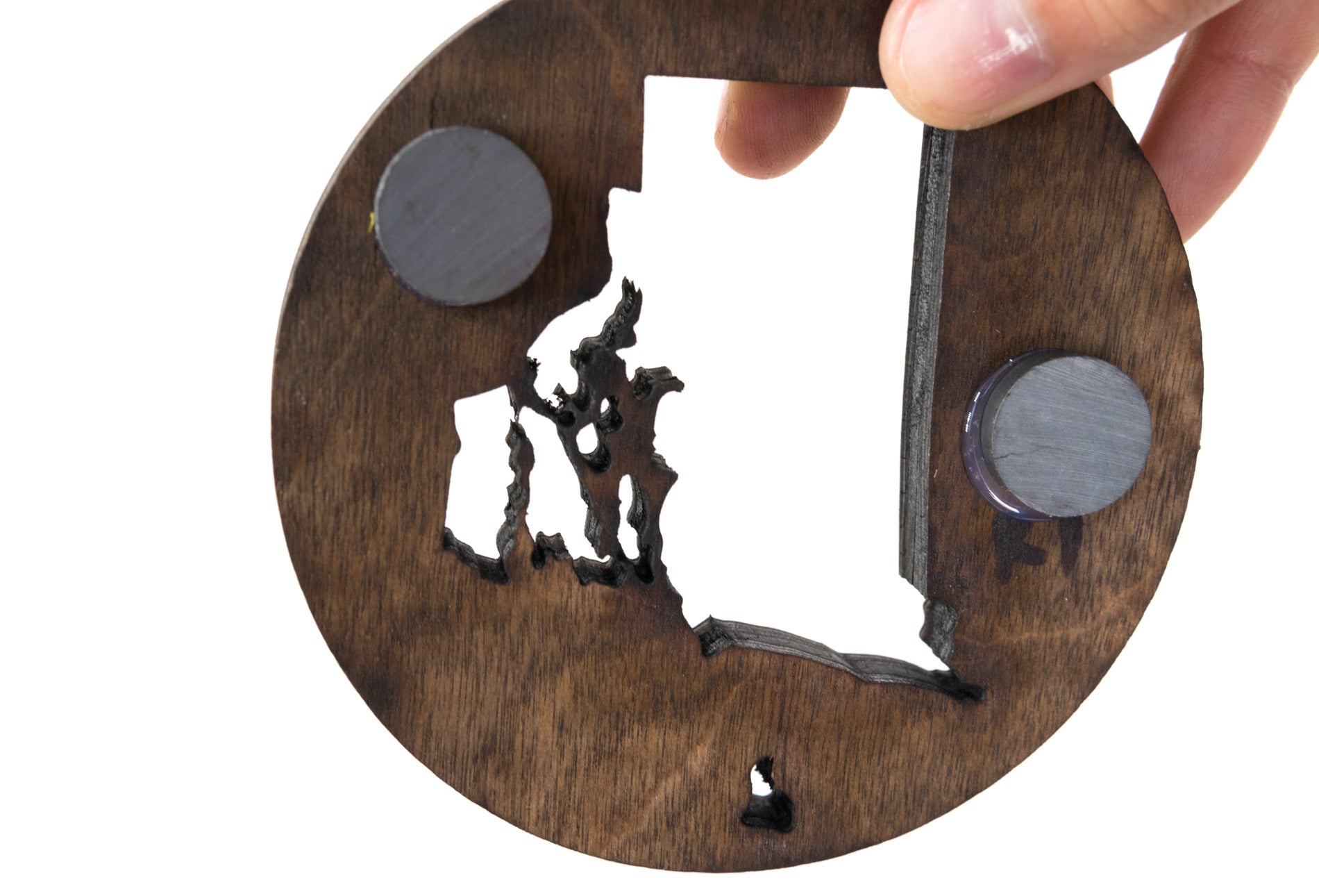 Rhode Island Wooden Cut Out Magnet  + Air Plant