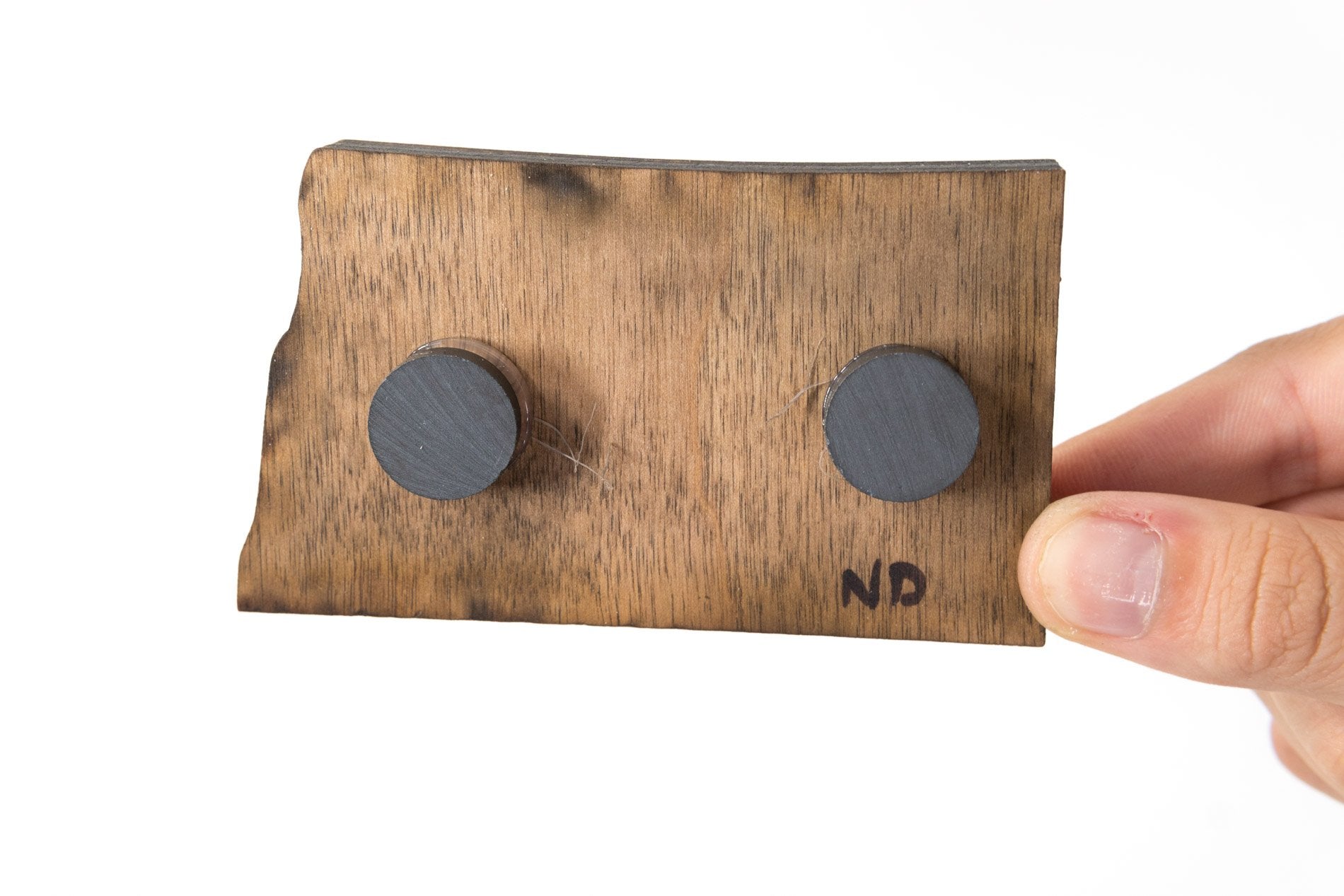 United States Wooden Cut Out Magnet  + Air Plant