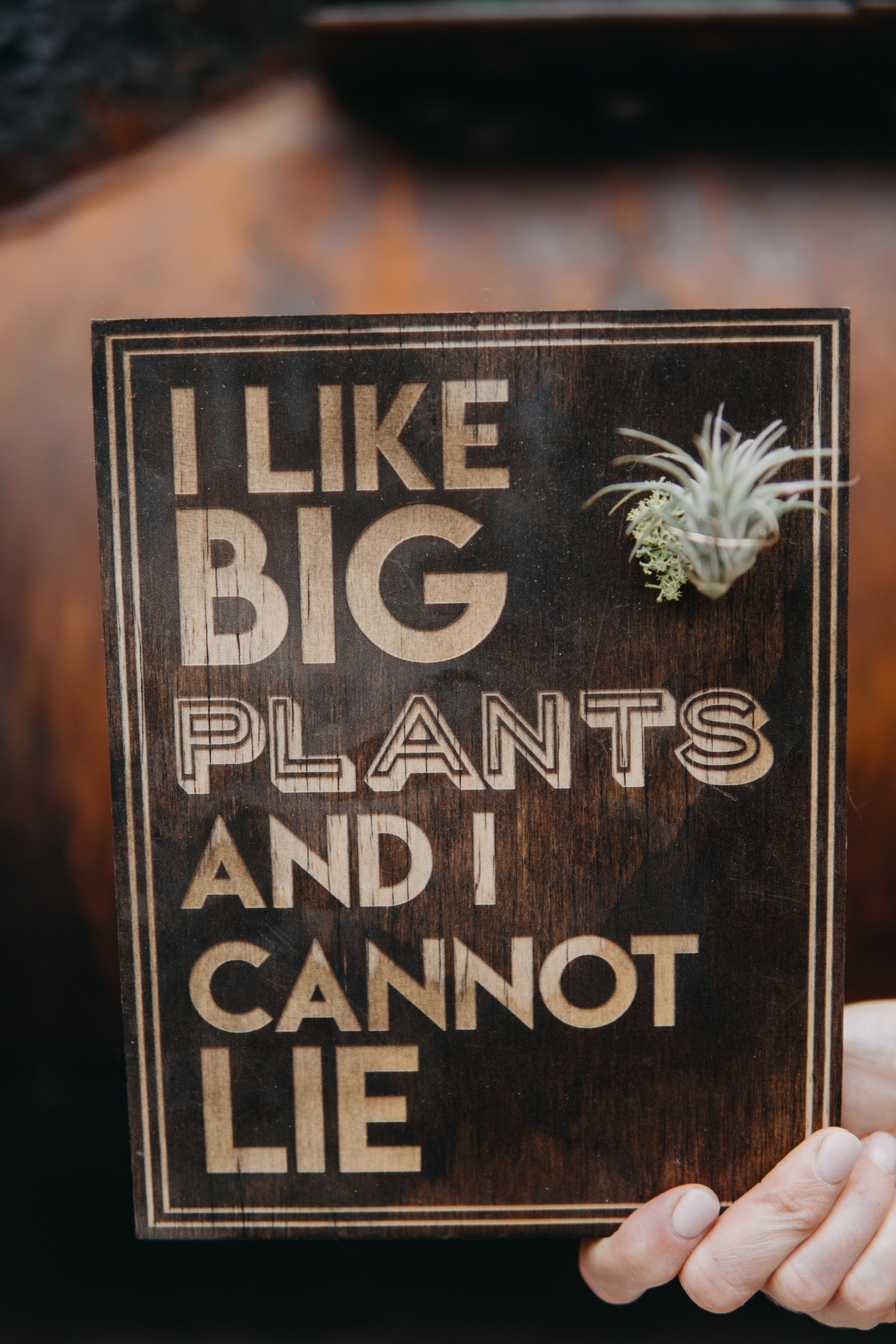 air plant quotes Wood Plaques + Air Plants
