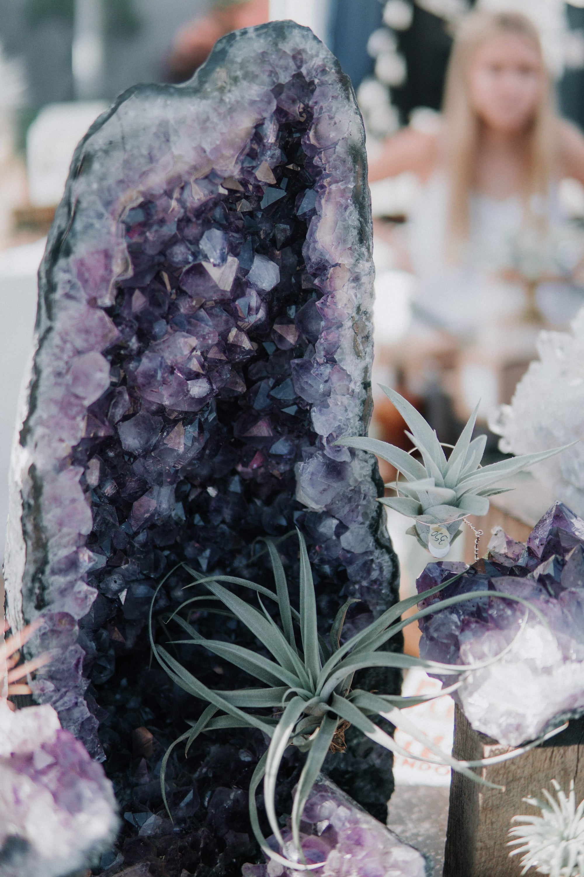 Statement Amethyst + Air Plant