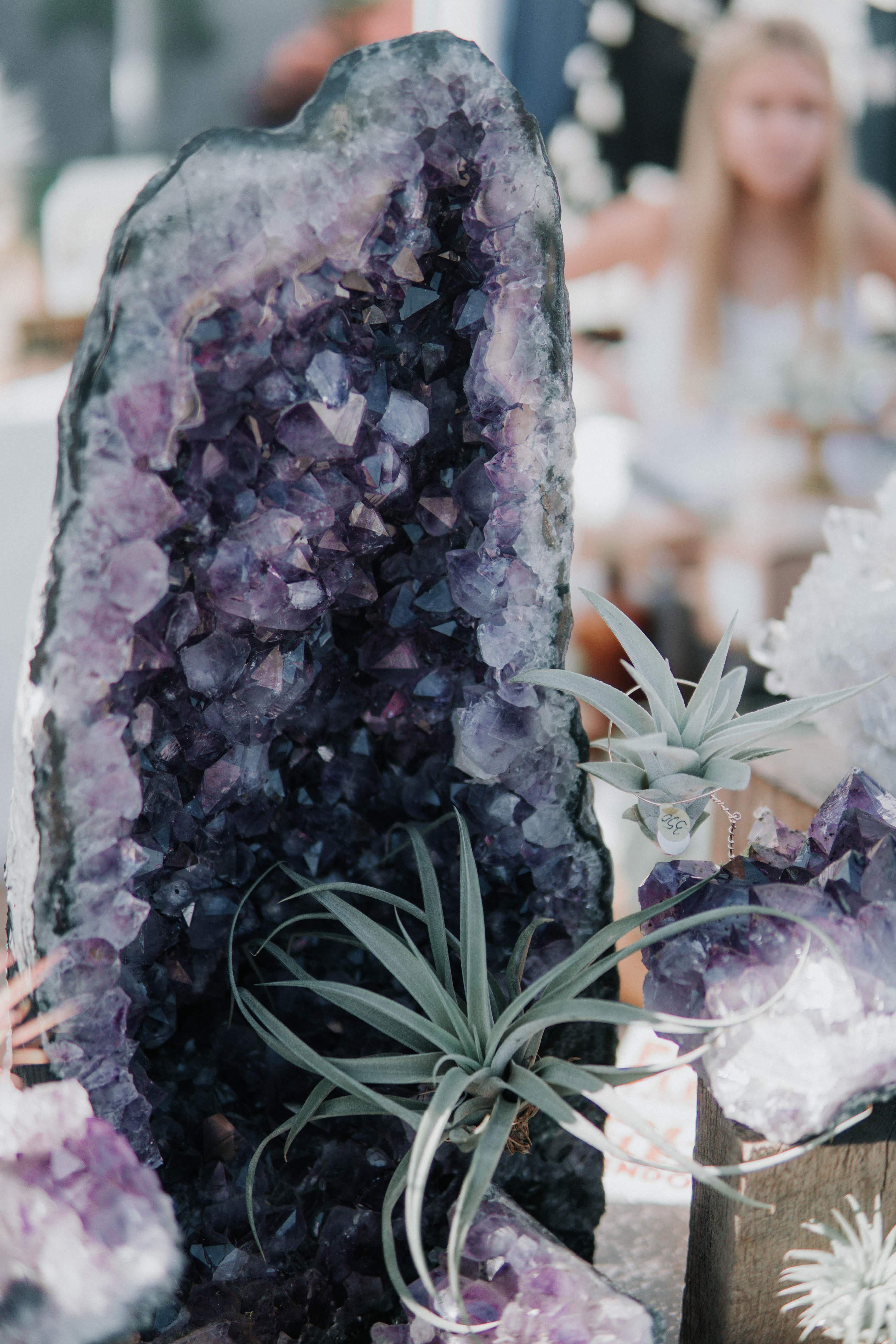 amethyst air plant Statement Amethyst + Air Plant