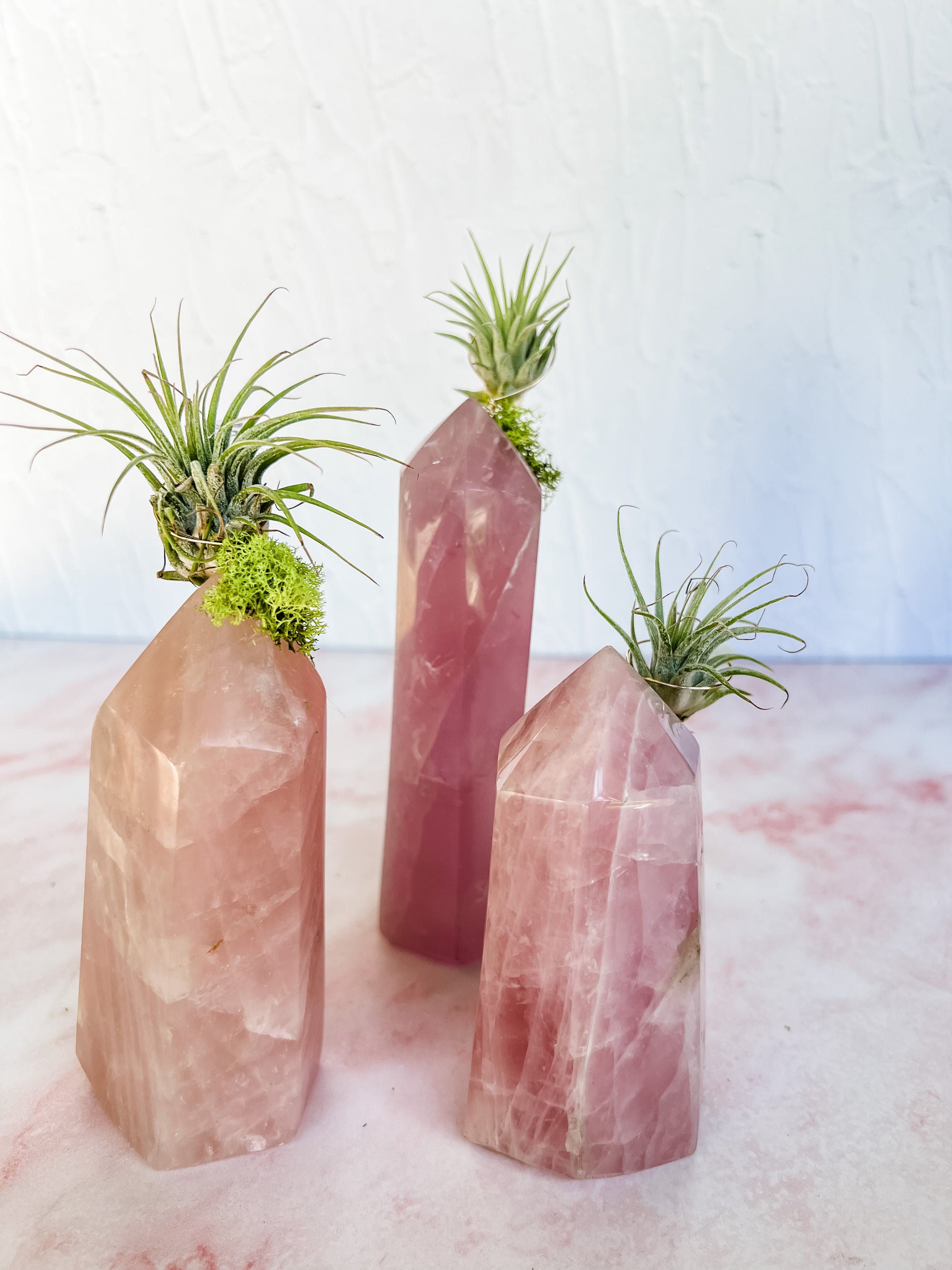 Rose Quartz Tower + Air Plant