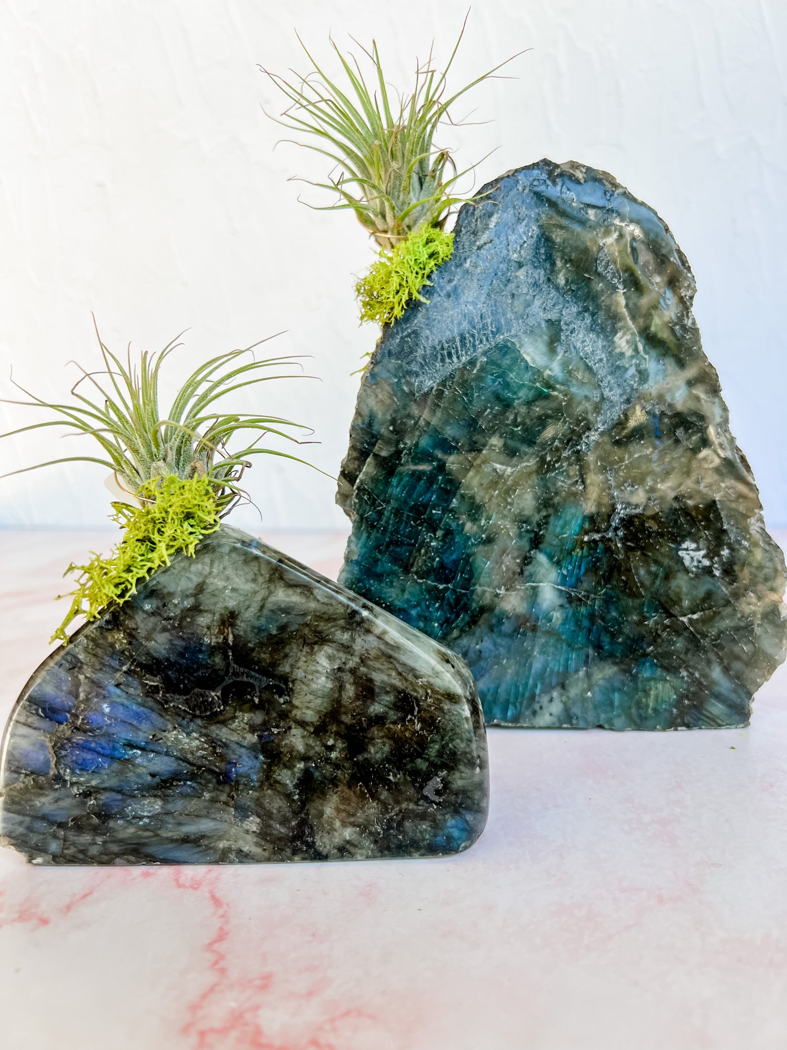 Labradorite + air plant