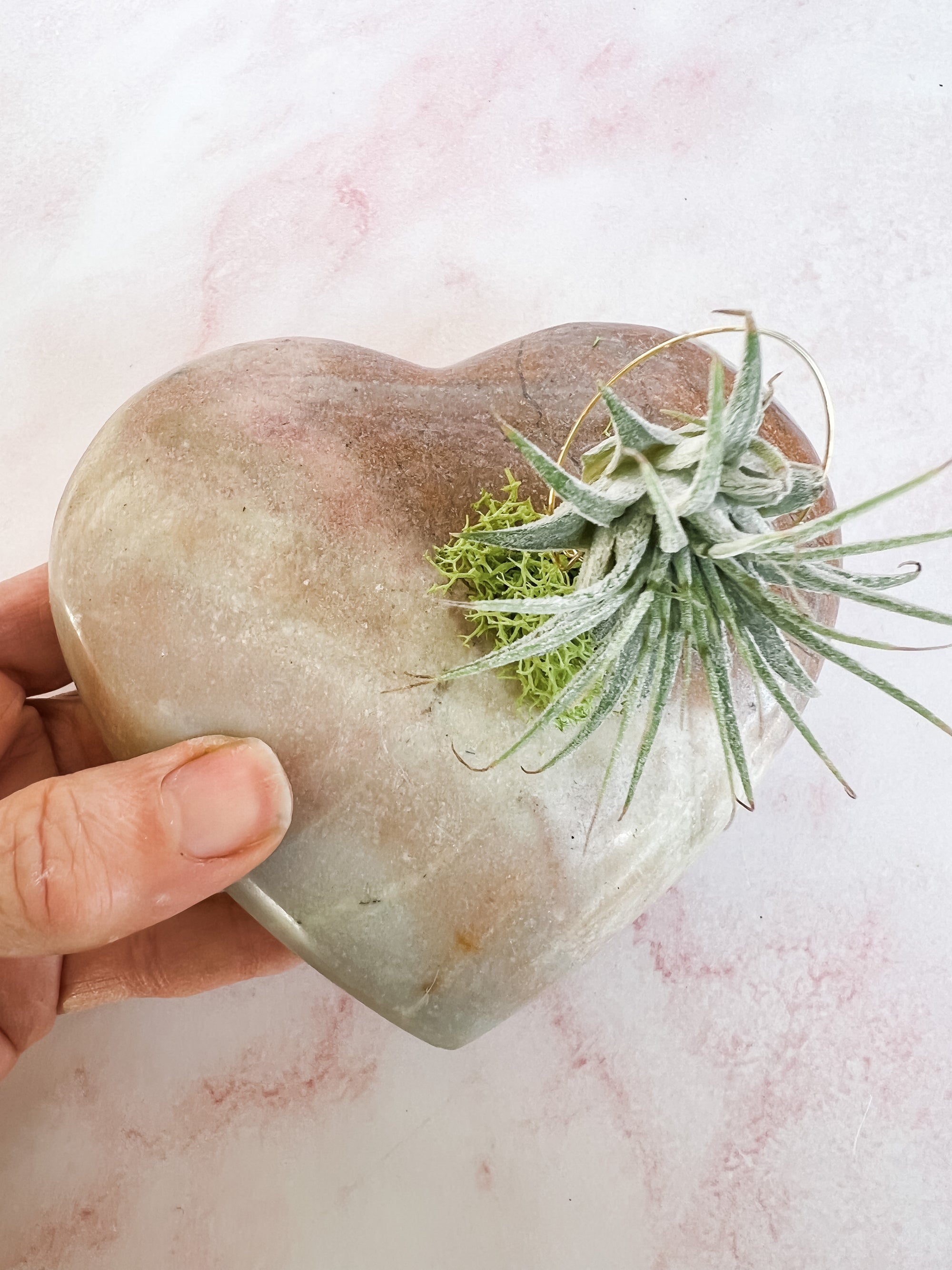 Jasper Heart + Air Plant